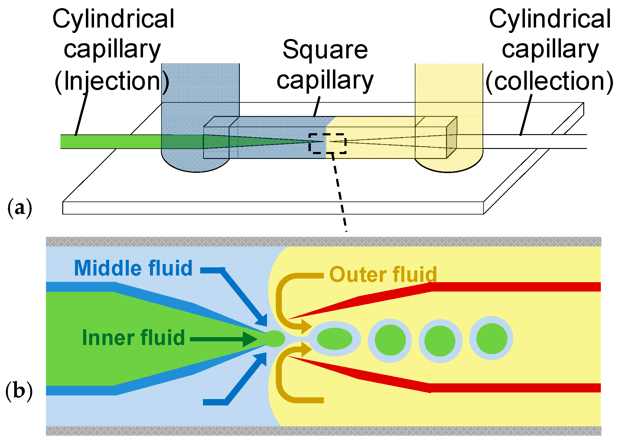 Entropy 19 00669 g001