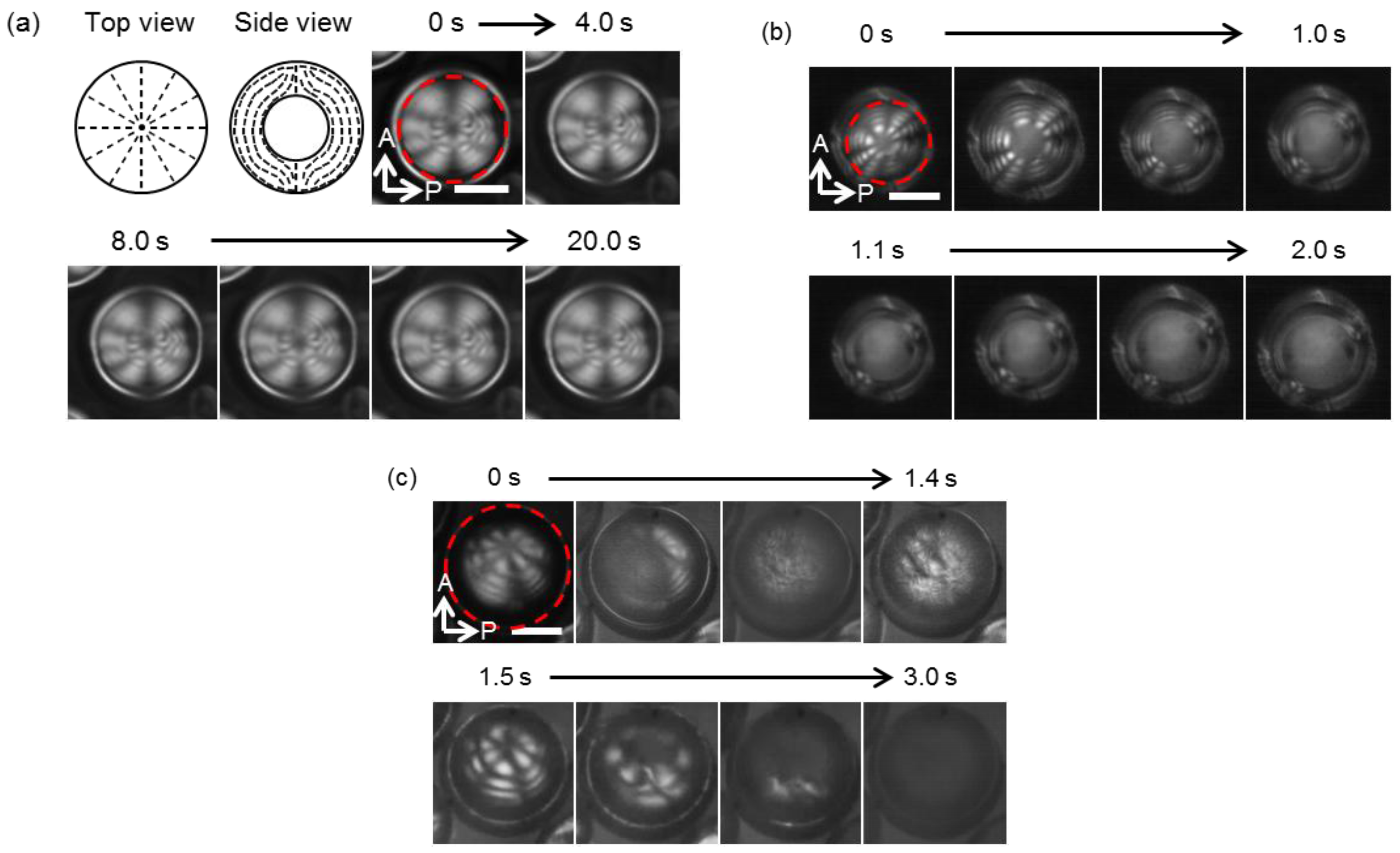 Entropy 19 00669 g004