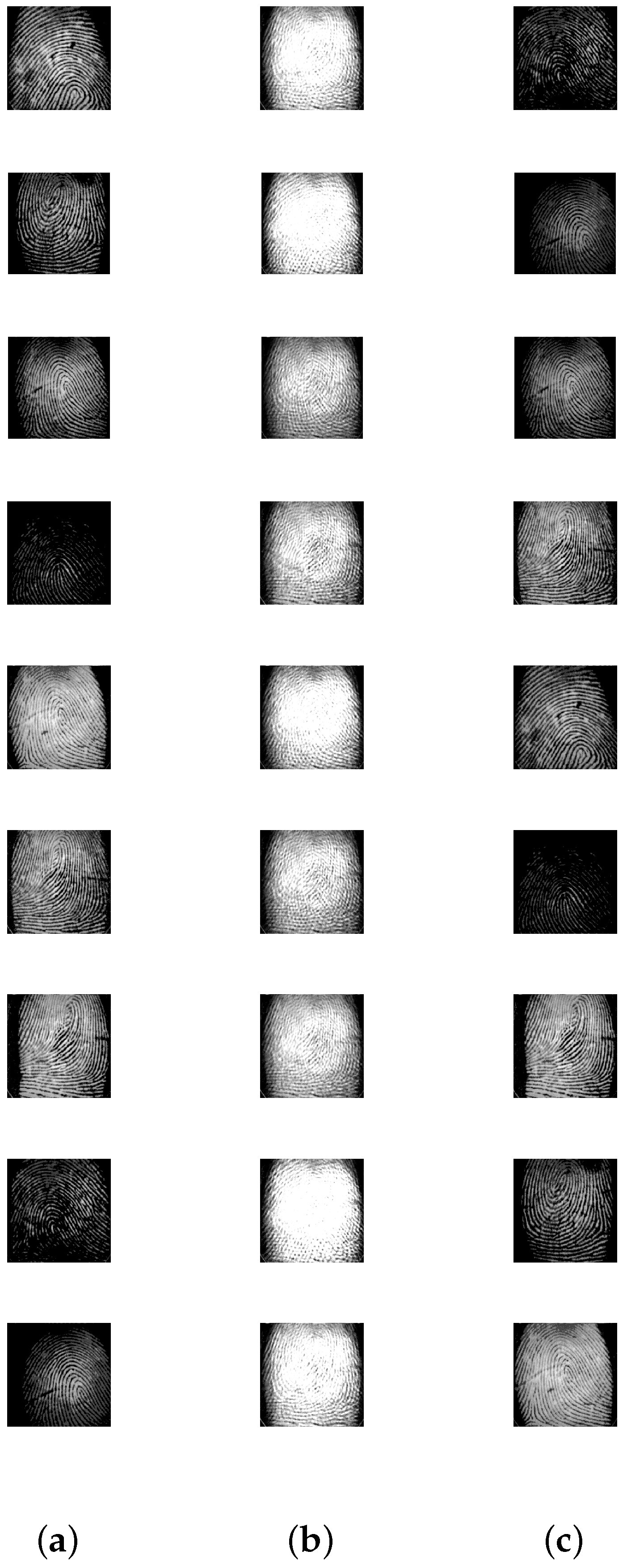 Entropy 20 00150 g009