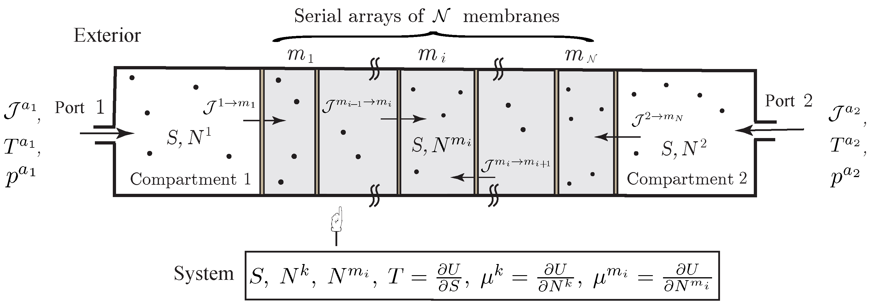 Entropy 20 00163 g004