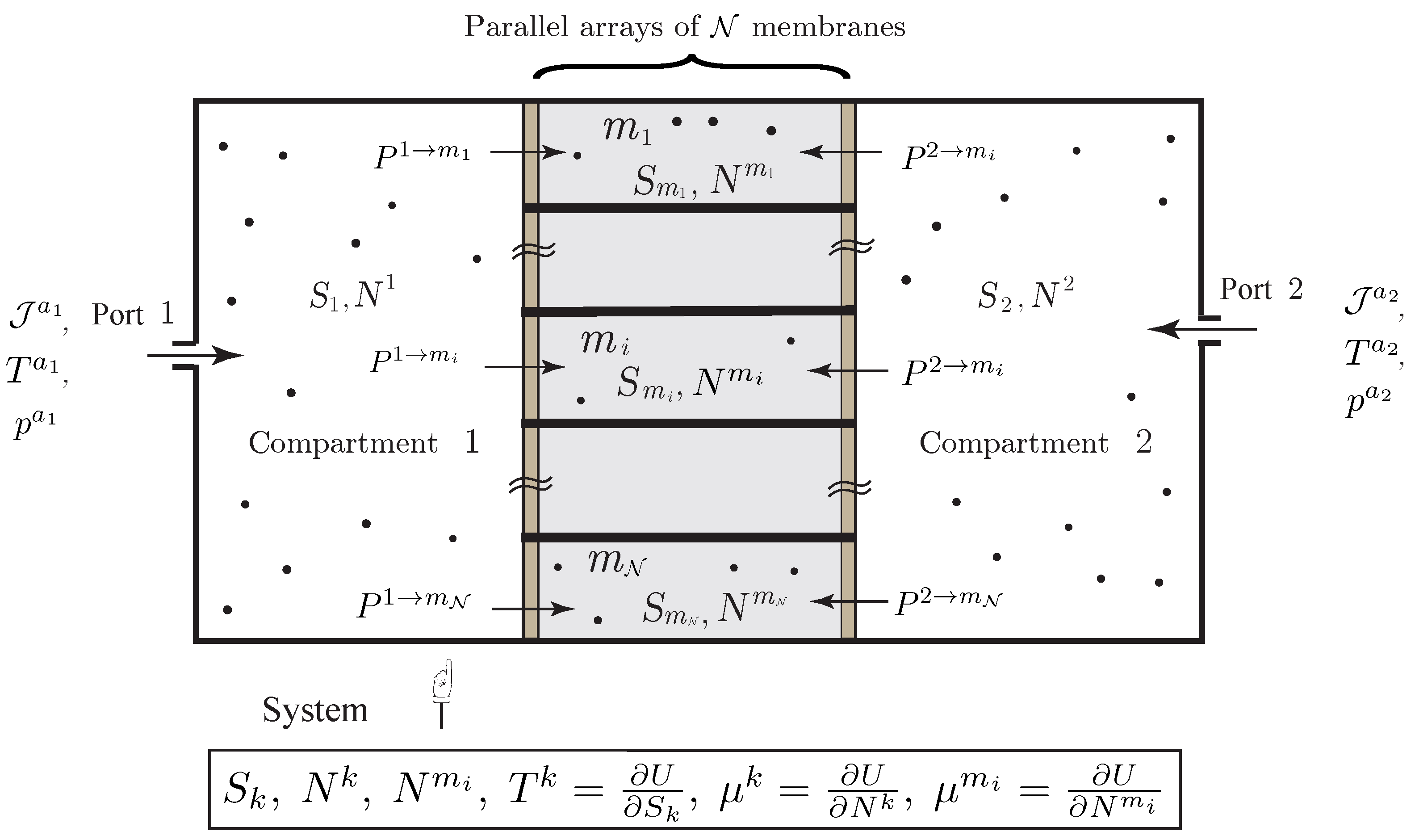 Entropy 20 00163 g008