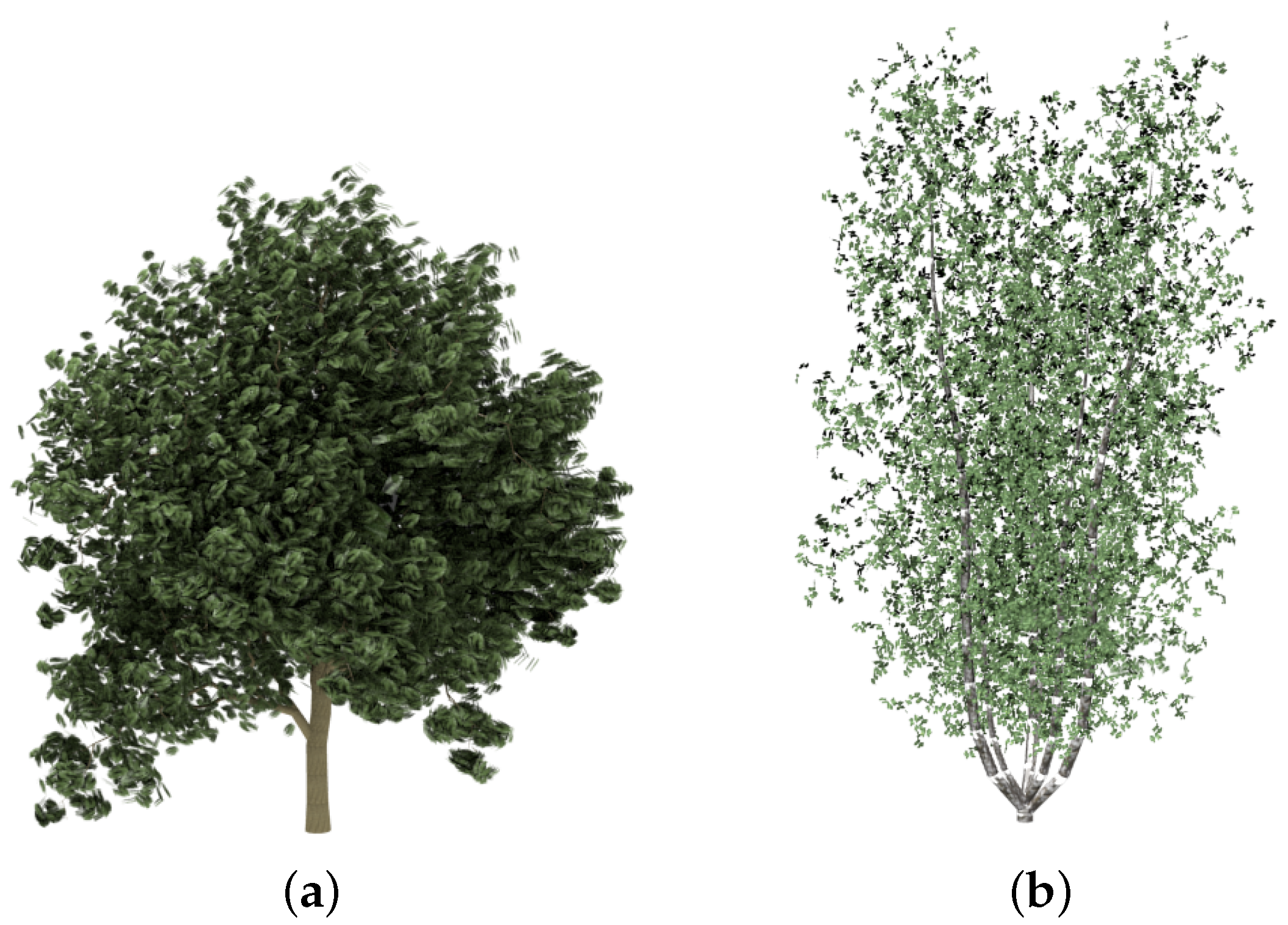 Entropy 20 00213 g006