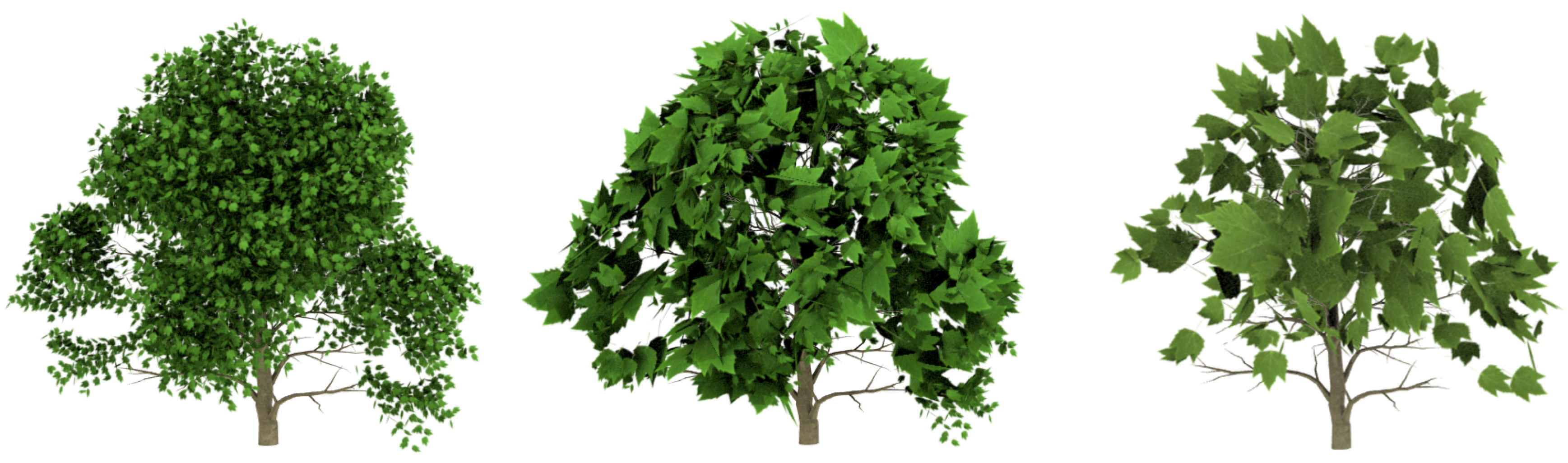 Entropy 20 00213 g009