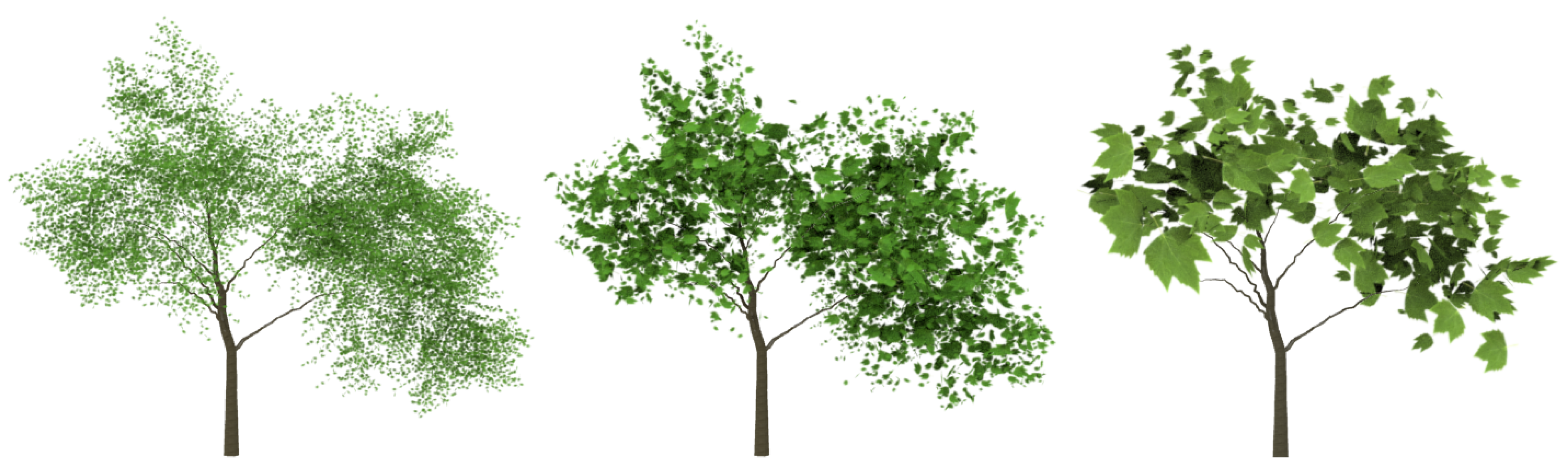 Entropy 20 00213 g011