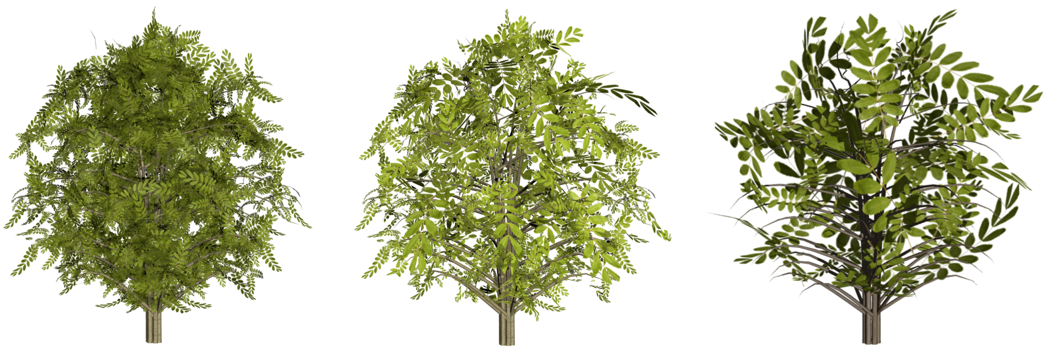 Entropy 20 00213 g012