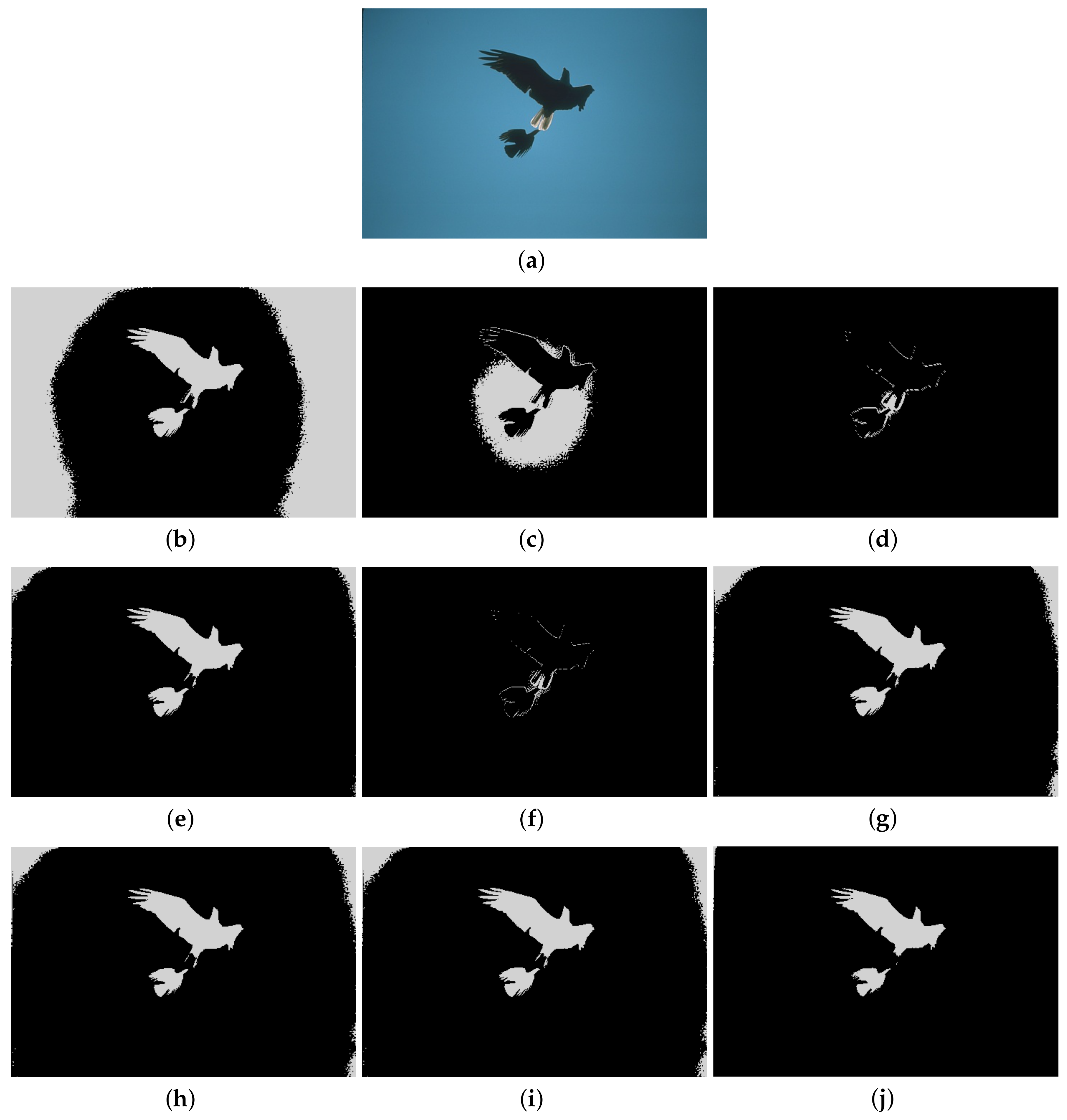 Entropy 20 00239 g005