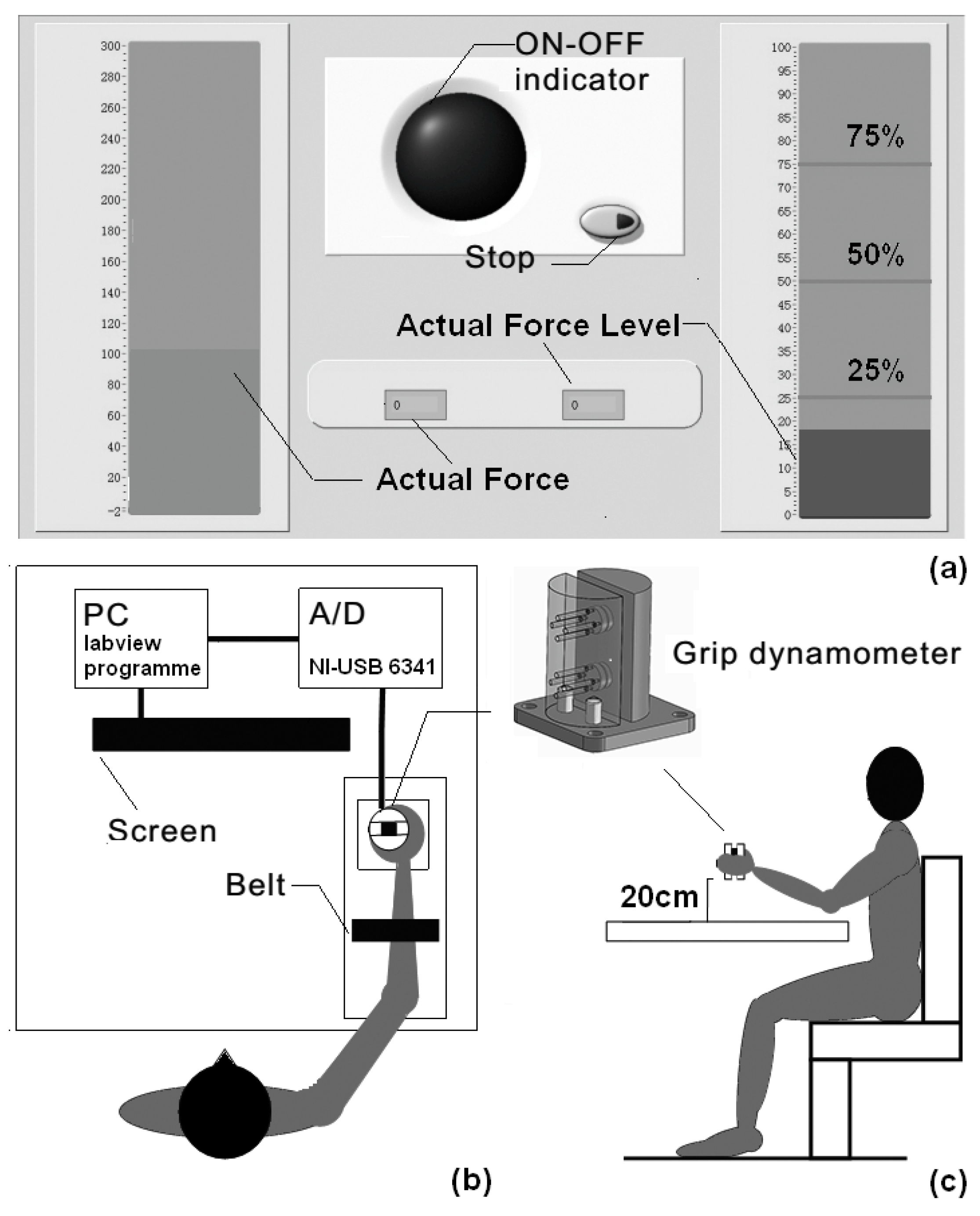 Entropy 20 00377 g001