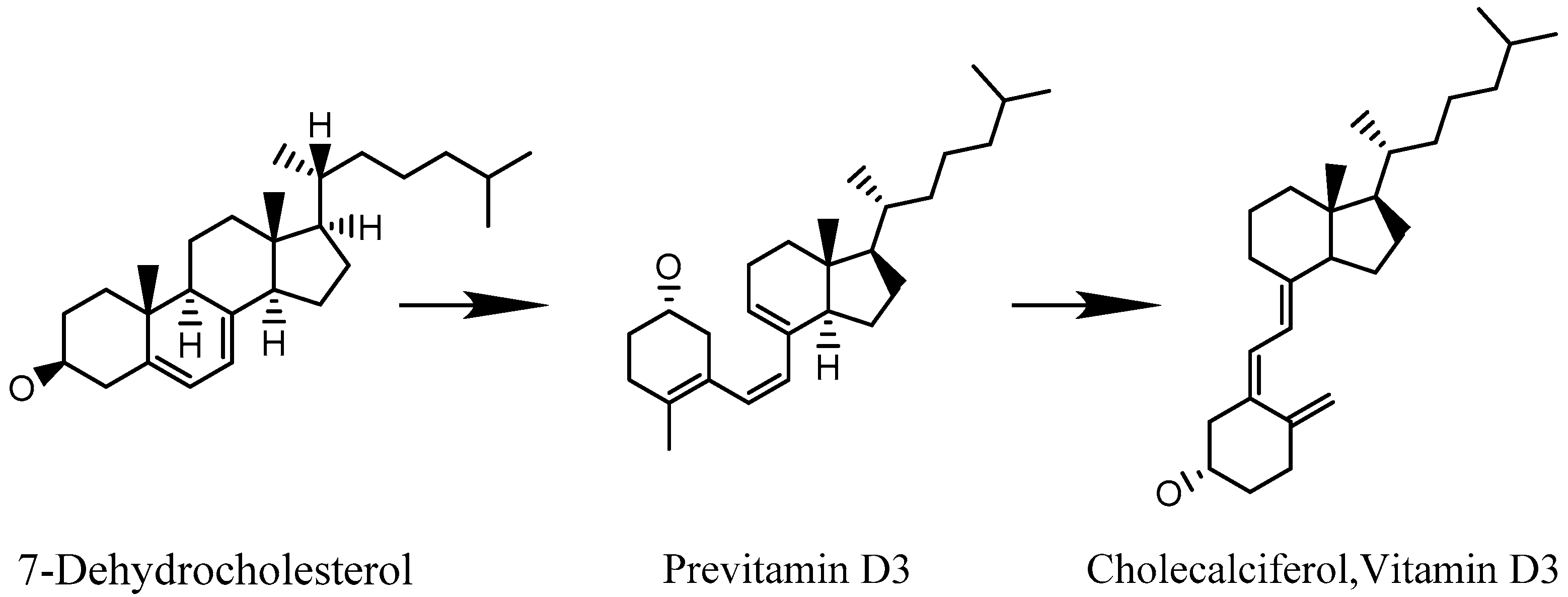 Entropy 20 00516 g003
