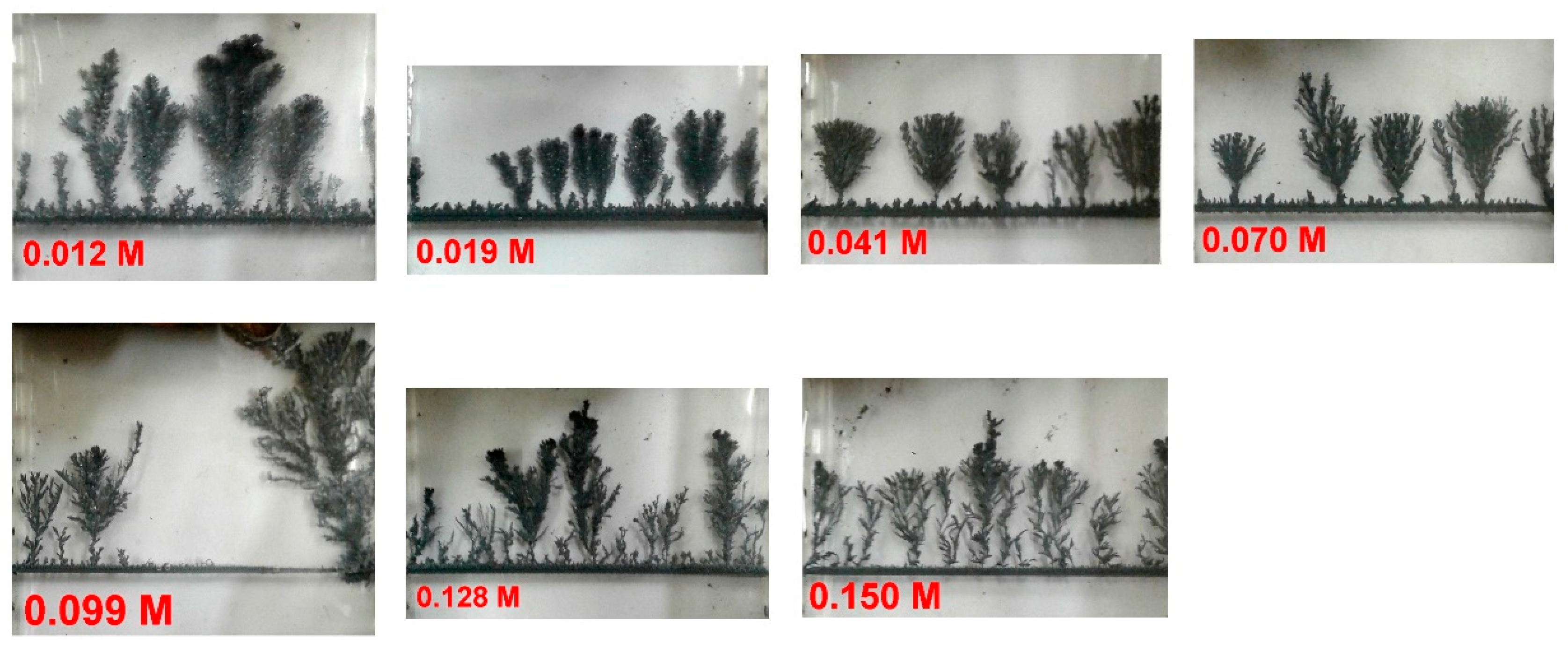 Entropy 20 00643 g003