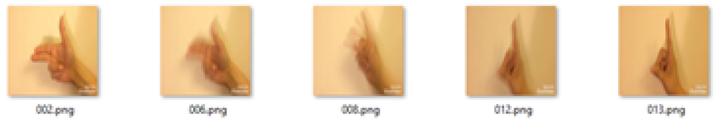 Entropy 20 00748 g013