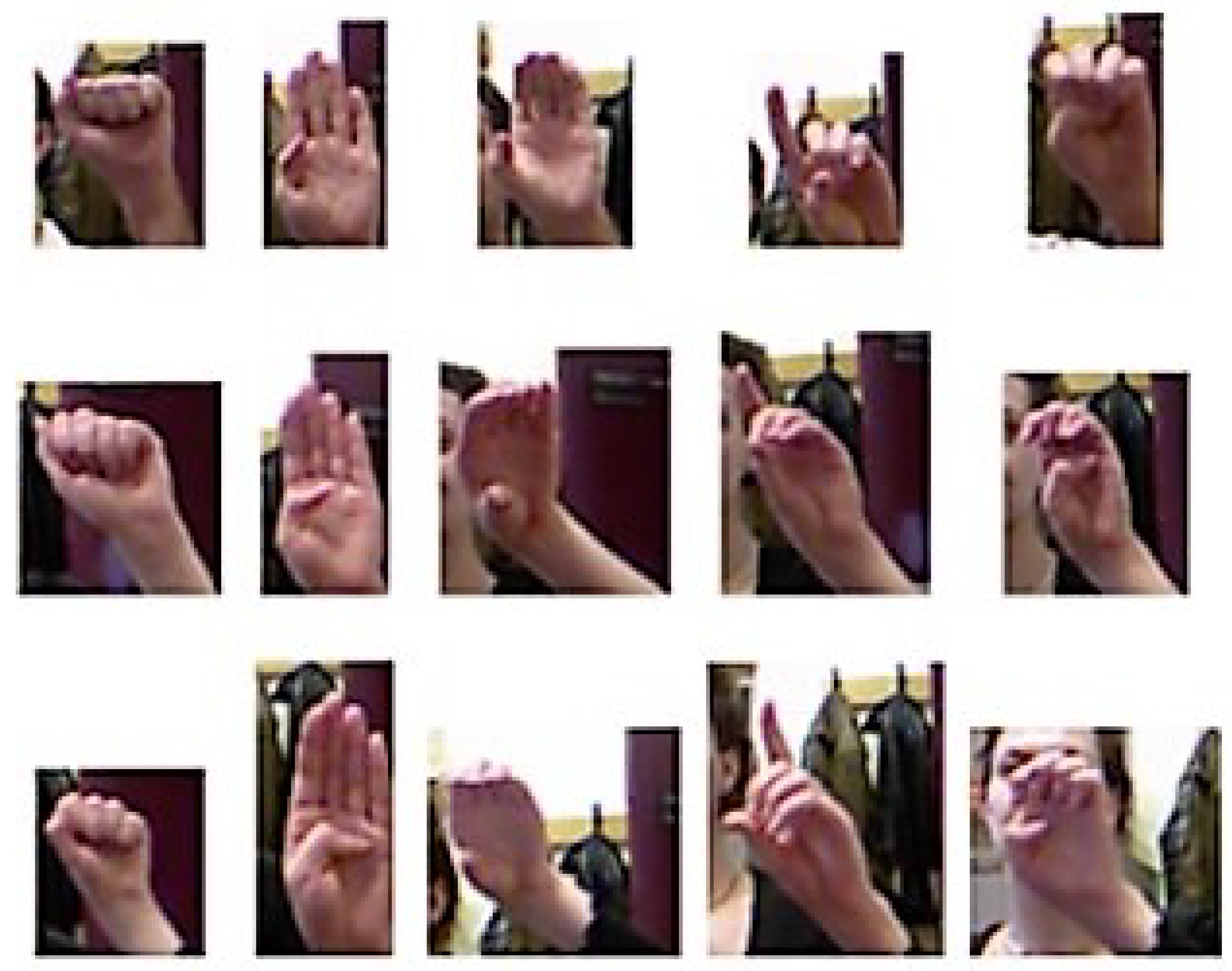 Entropy 20 00809 g011