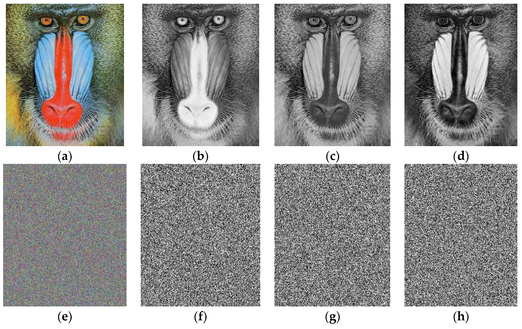 Entropy 20 00913 g003