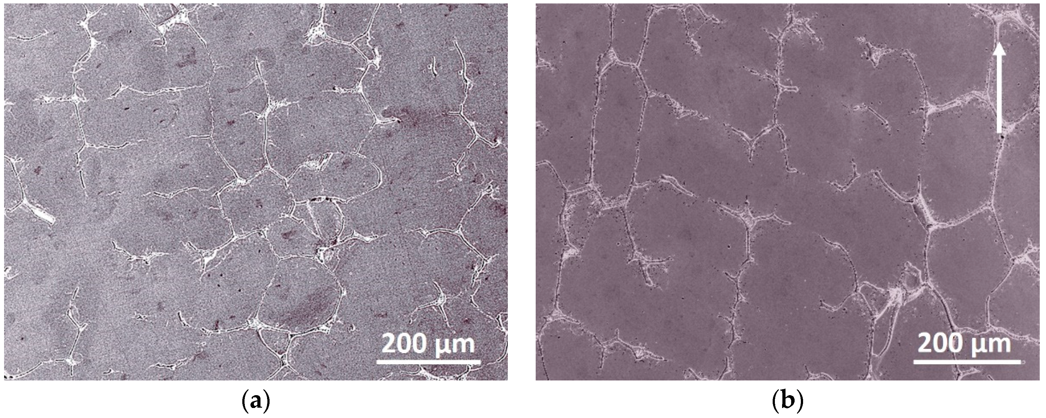 Entropy 20 00917 g001