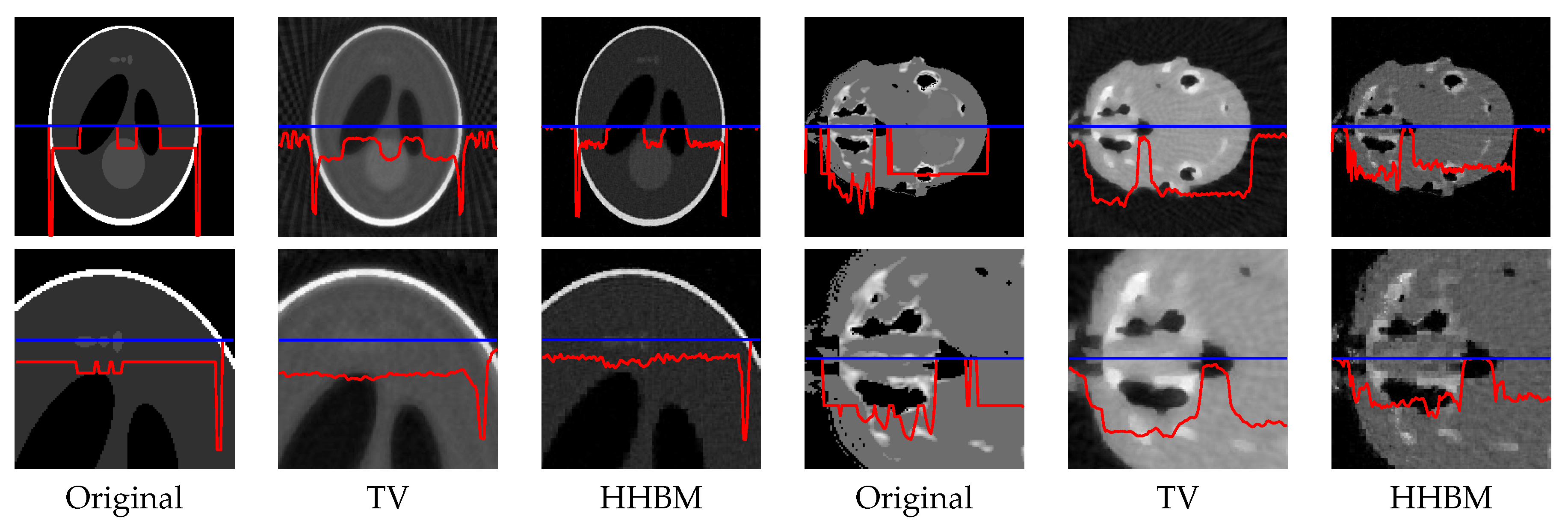 Entropy 20 00977 g008