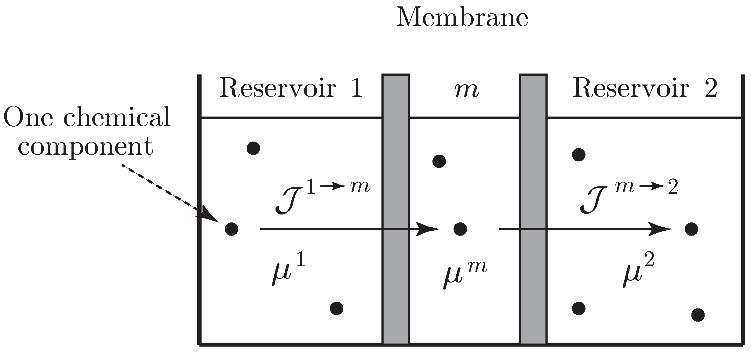 Entropy 21 00008 g003