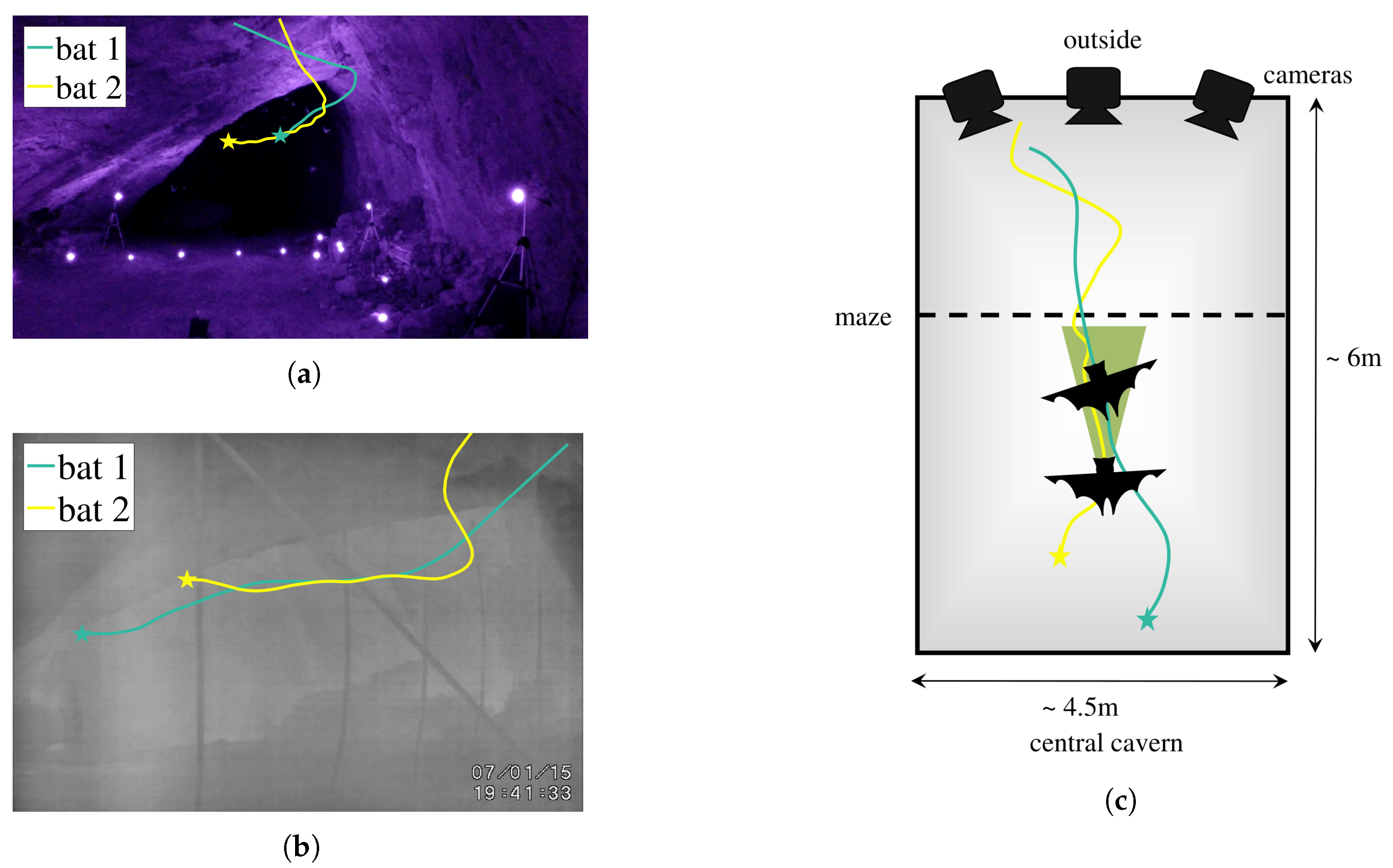 Entropy 21 00042 g002