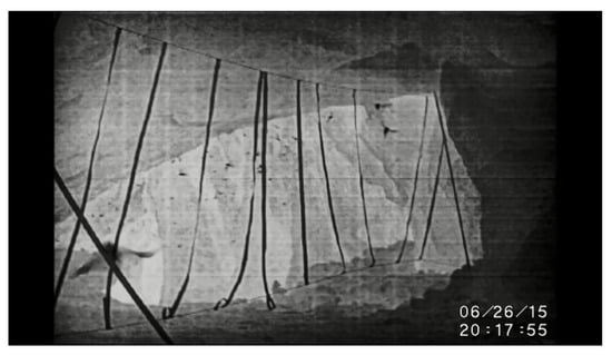 Entropy 21 00042 g0a2