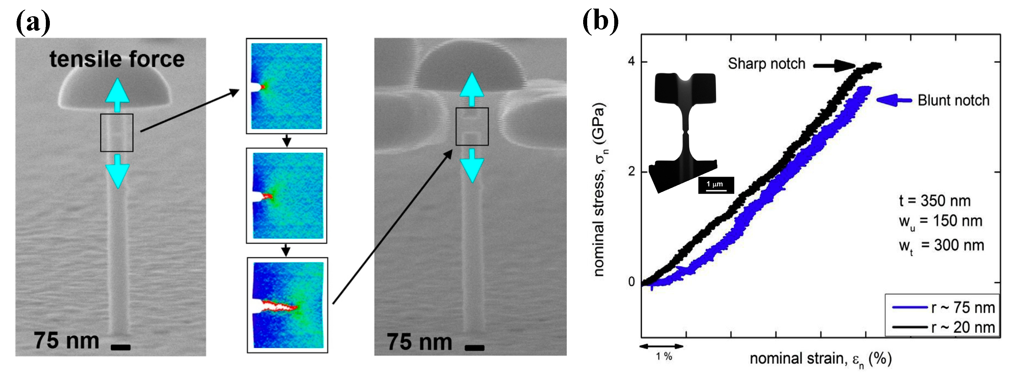 Entropy 21 00054 g009