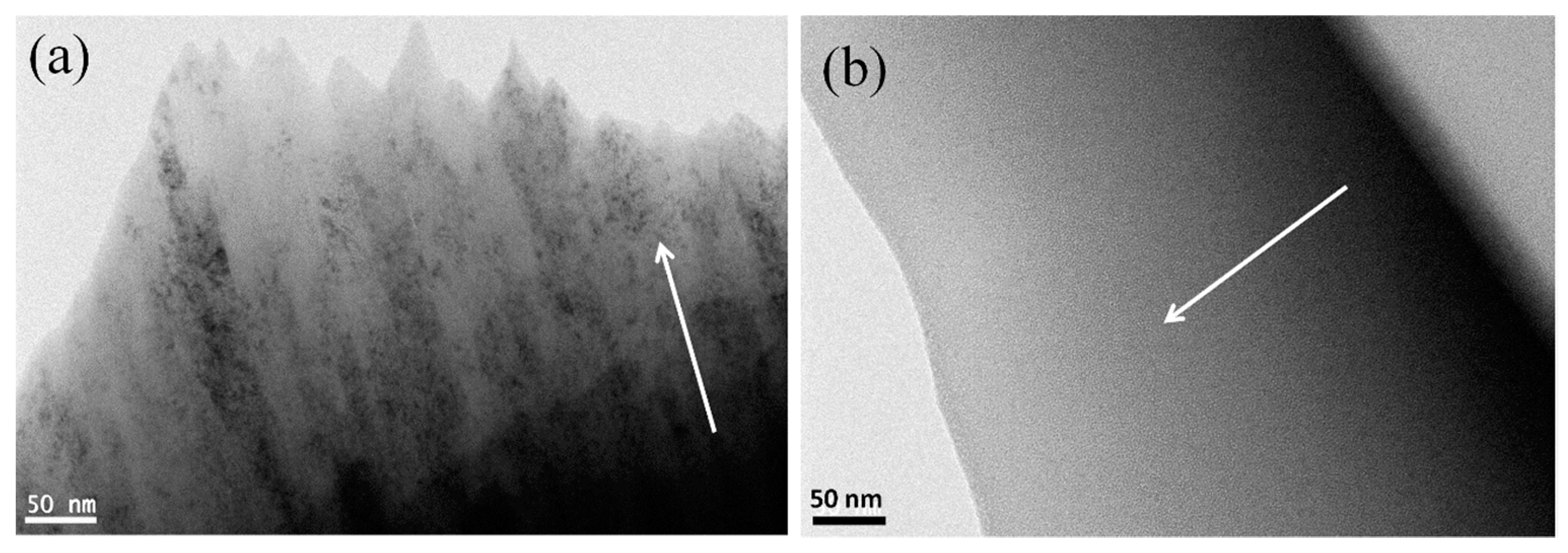Entropy 21 00075 g003