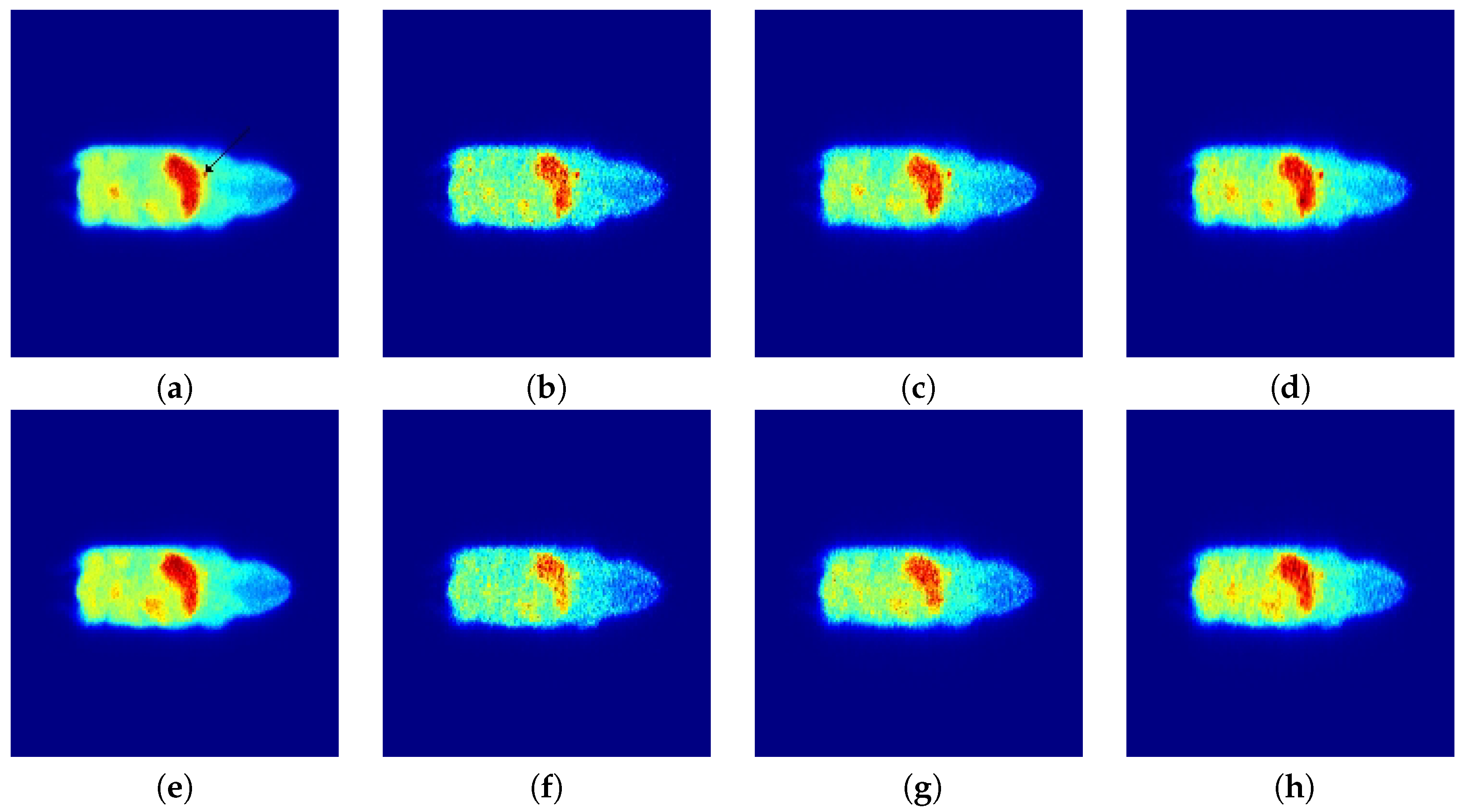 Entropy 21 00083 g005
