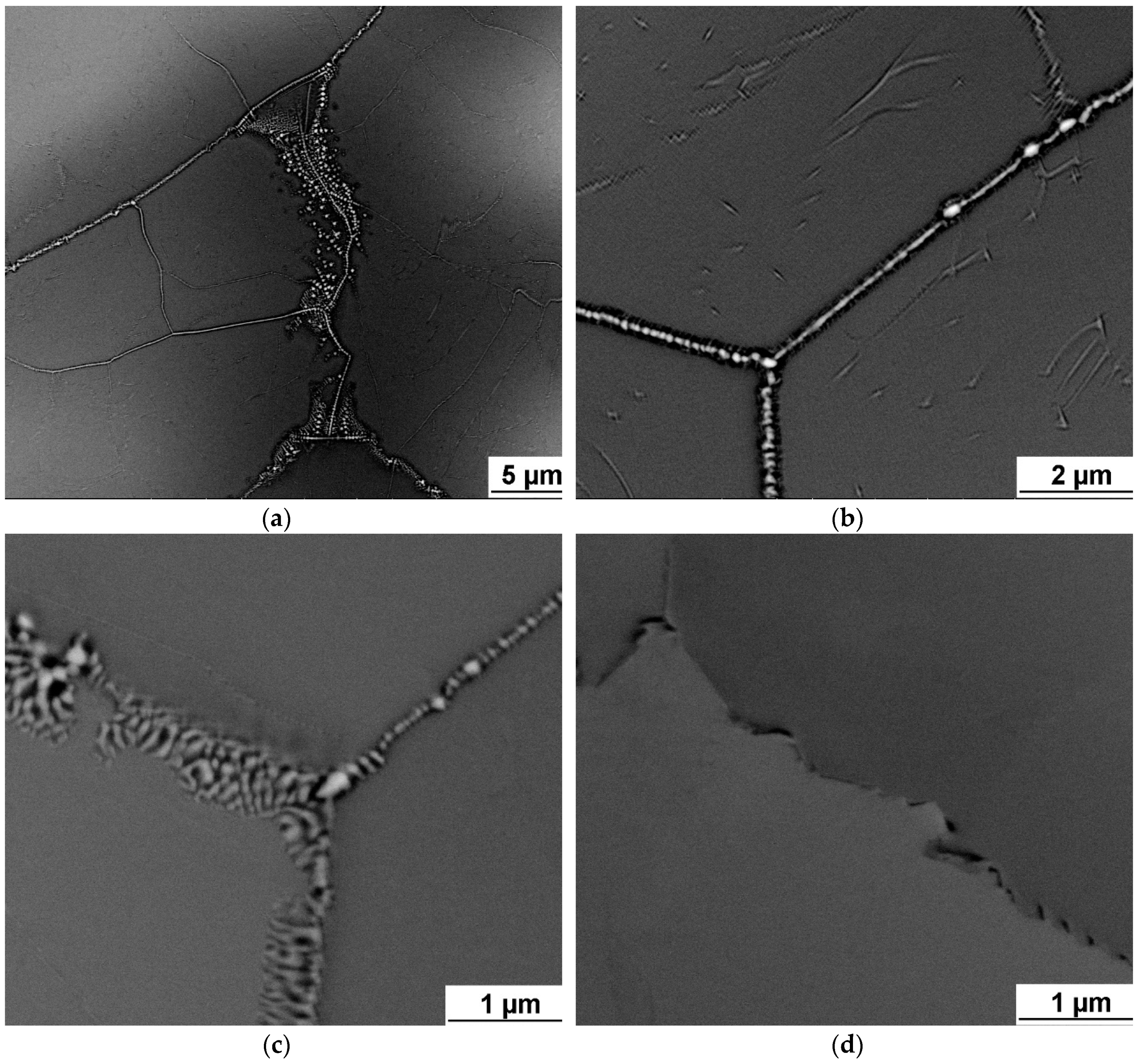 Entropy 21 00114 g004