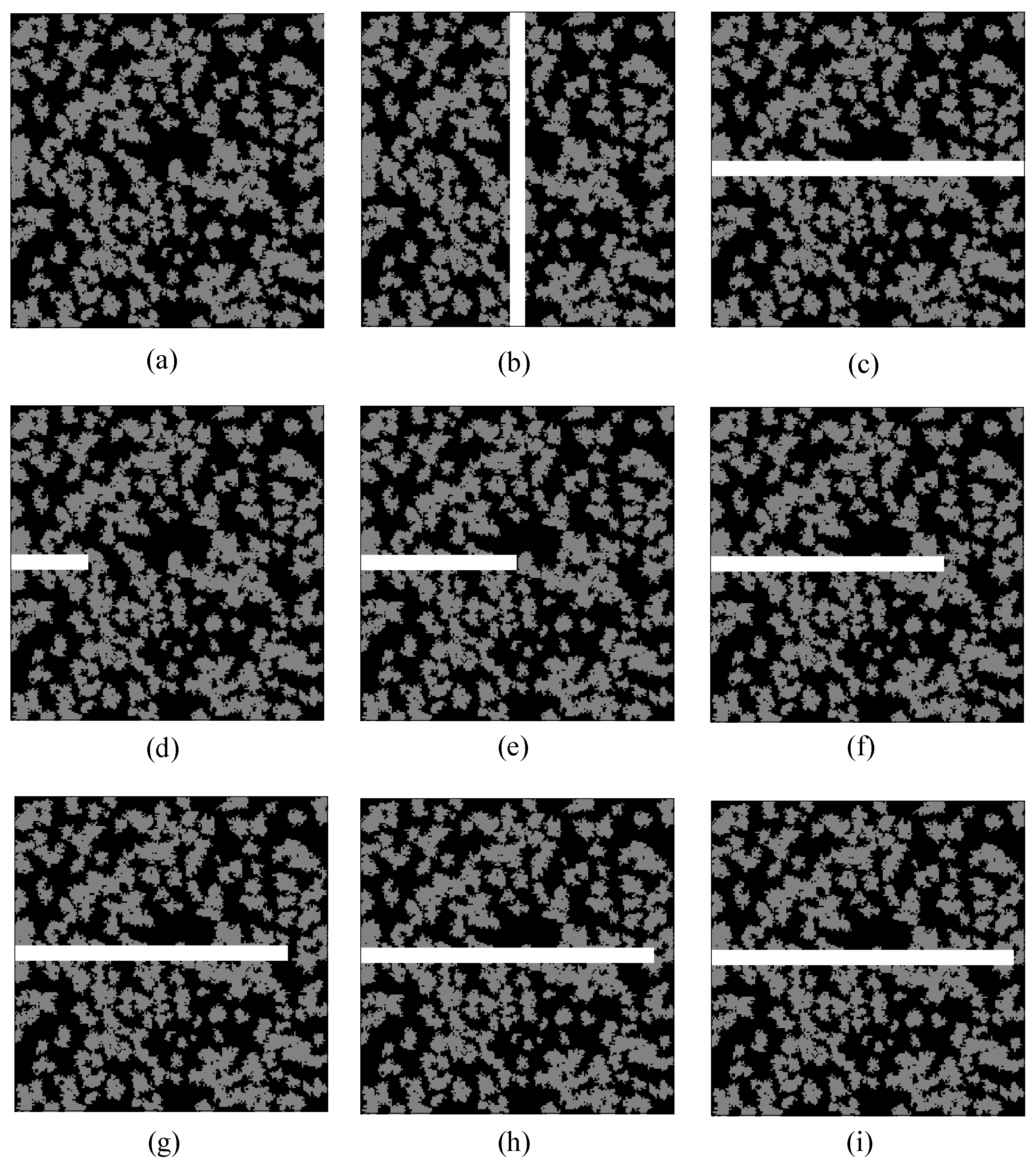 Entropy 21 00133 g012