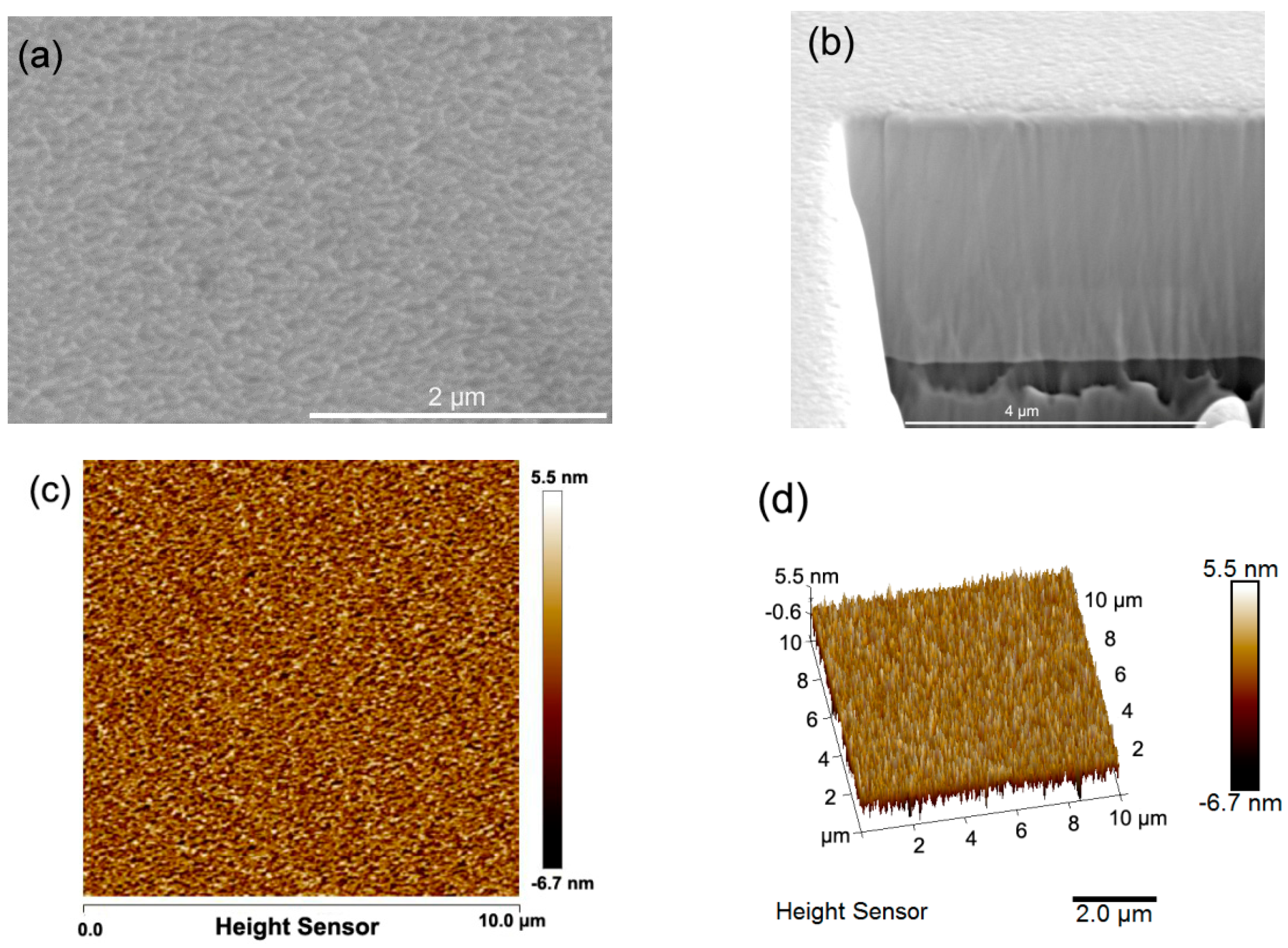Entropy 21 00146 g002