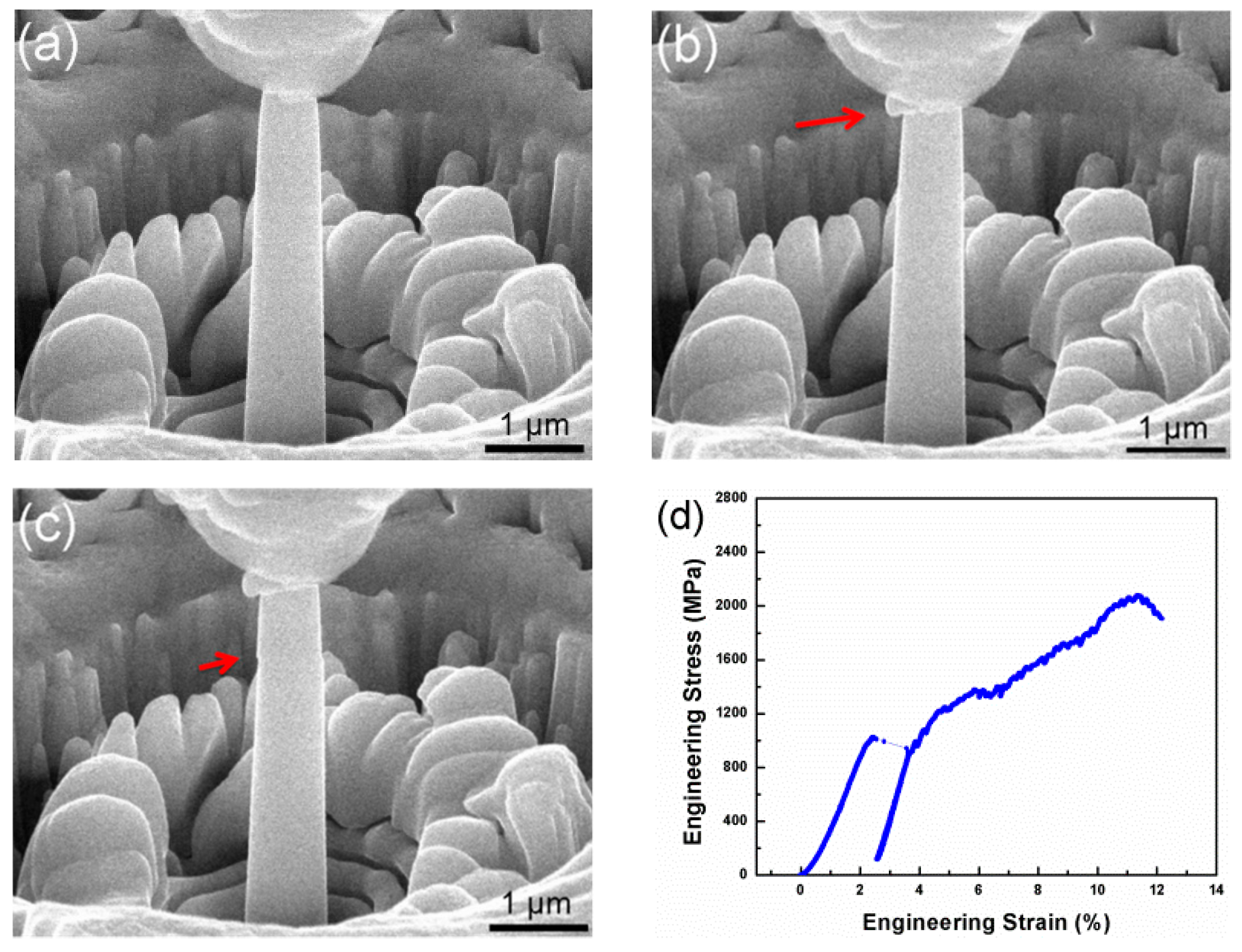 Entropy 21 00146 g006