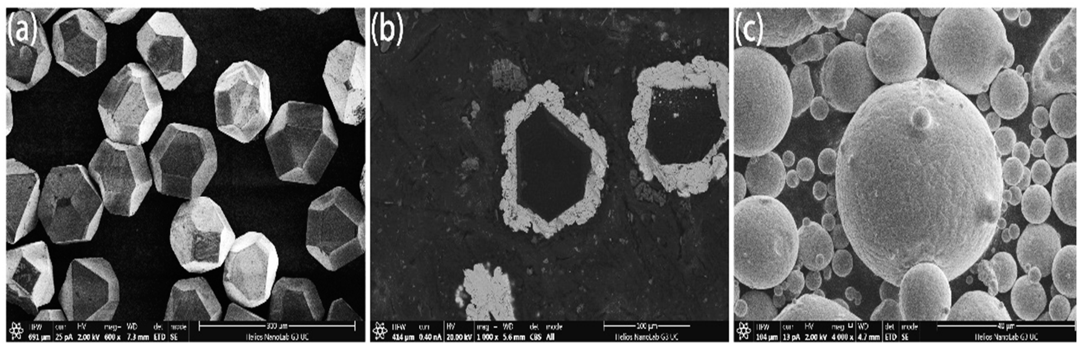 Entropy 21 00164 g001