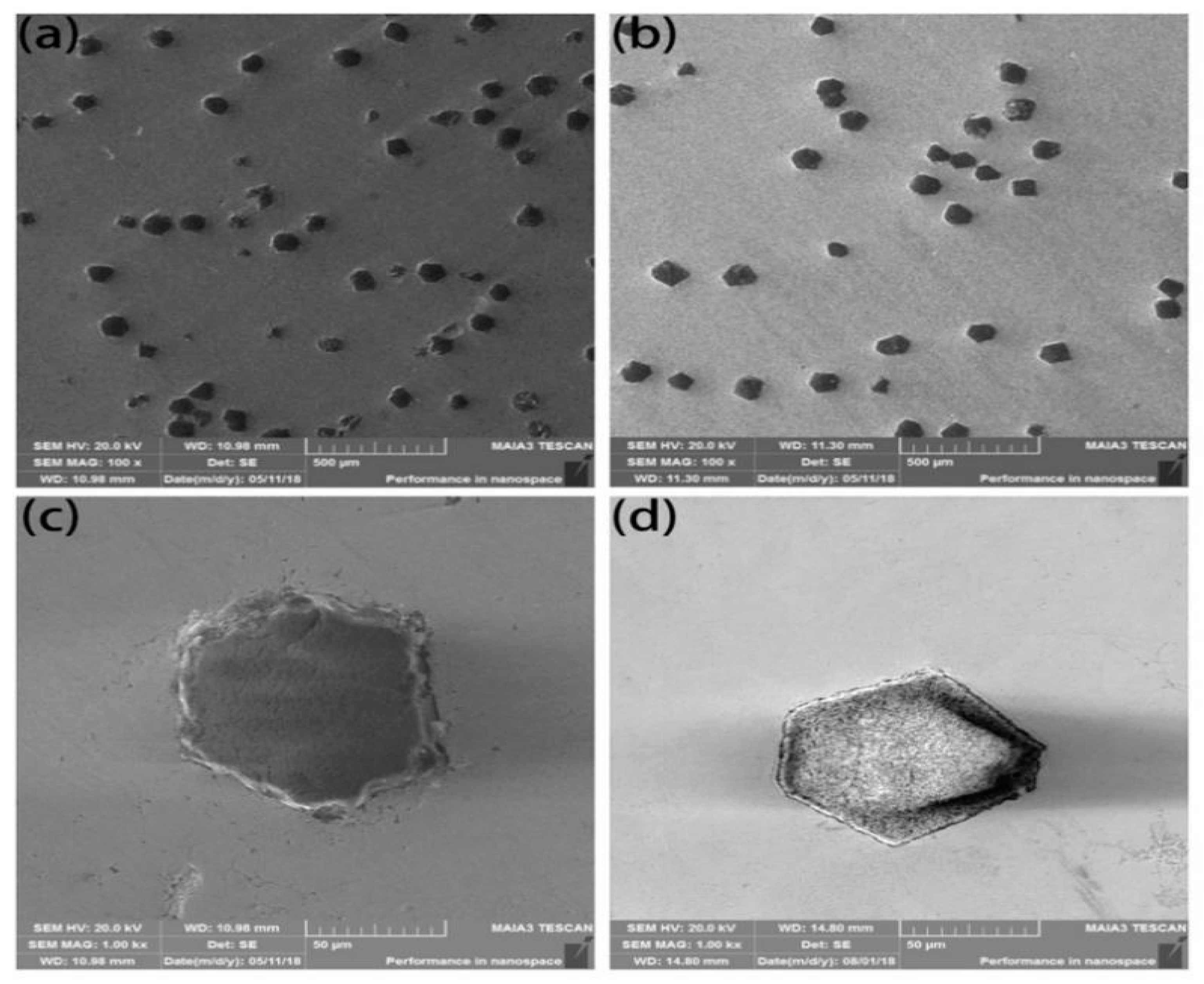 Entropy 21 00164 g006