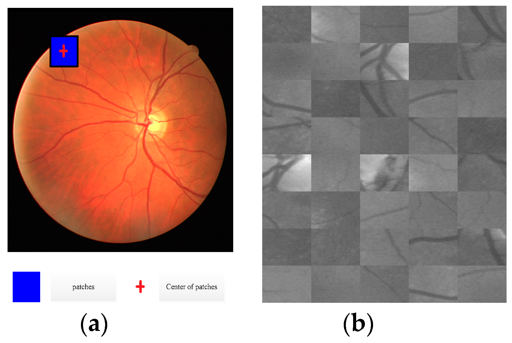 Entropy 21 00168 g002