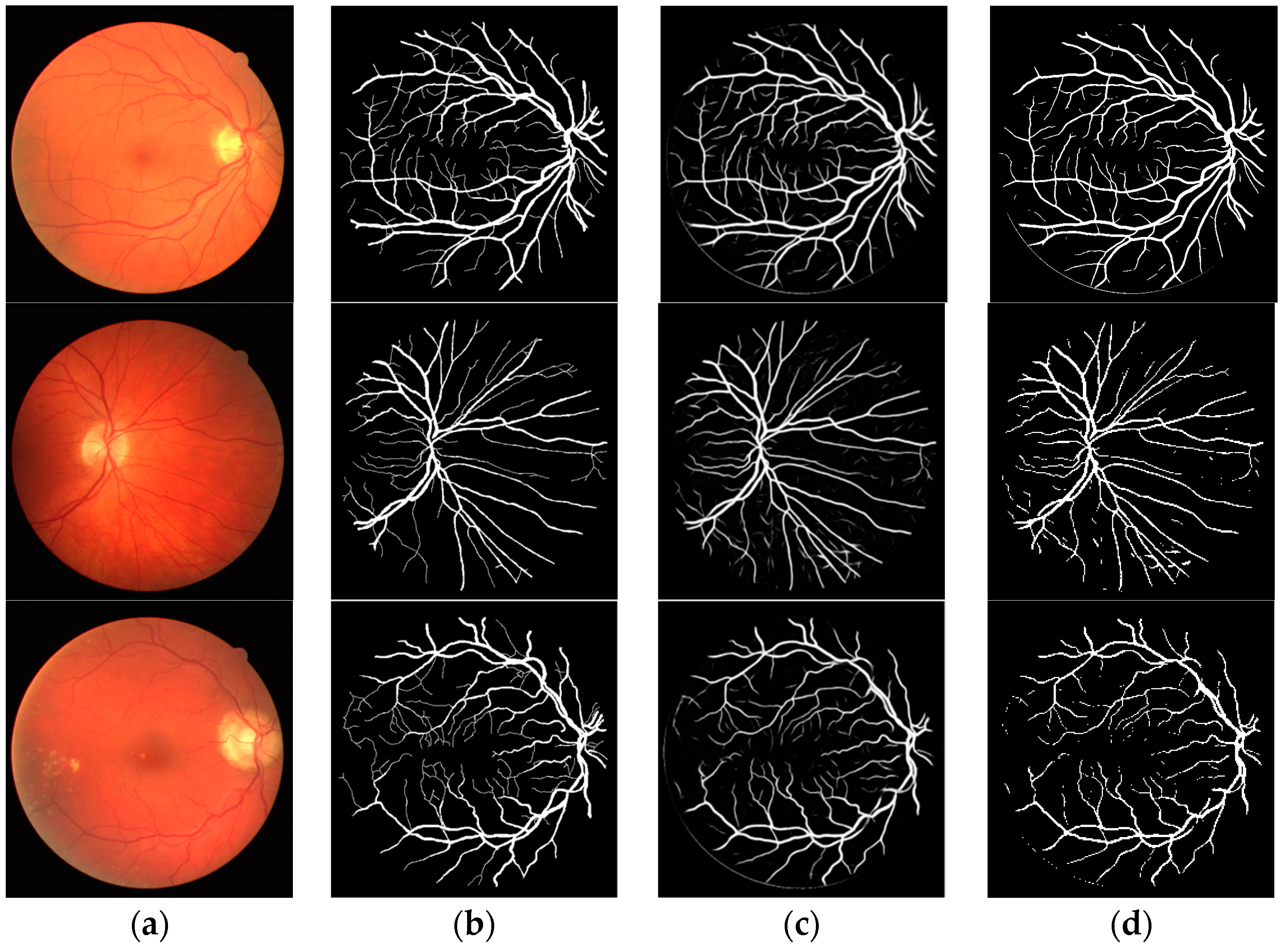 Entropy 21 00168 g005