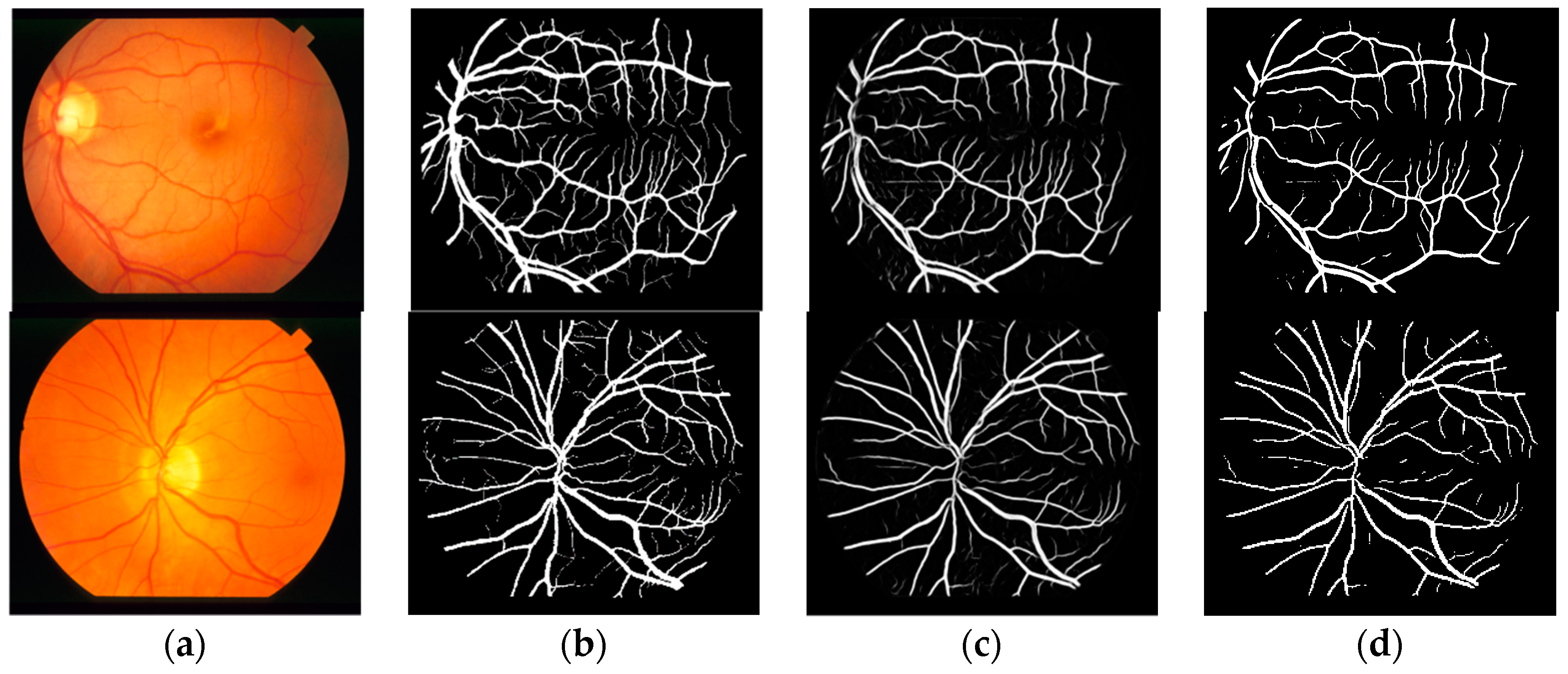 Entropy 21 00168 g006