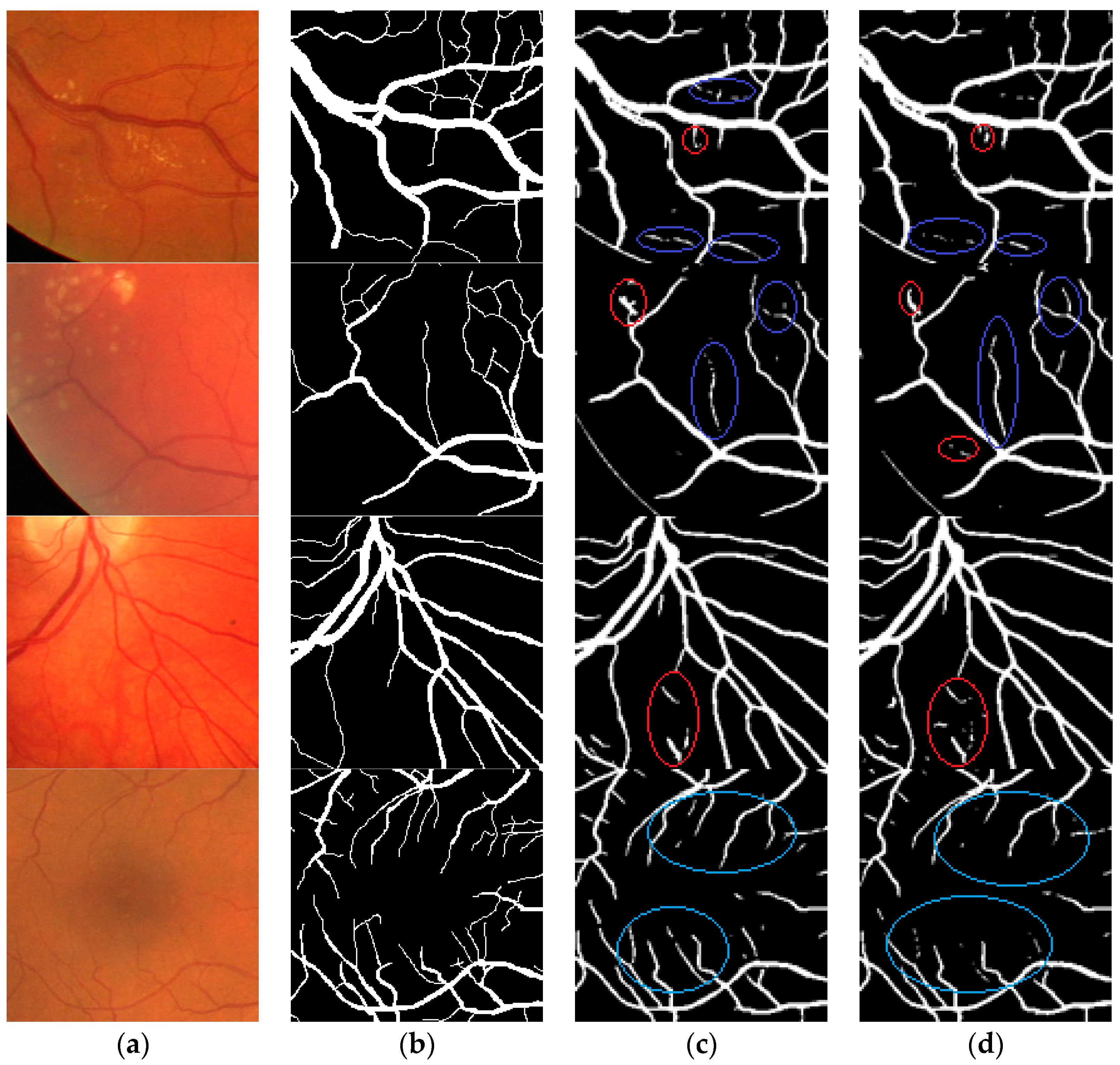 Entropy 21 00168 g007