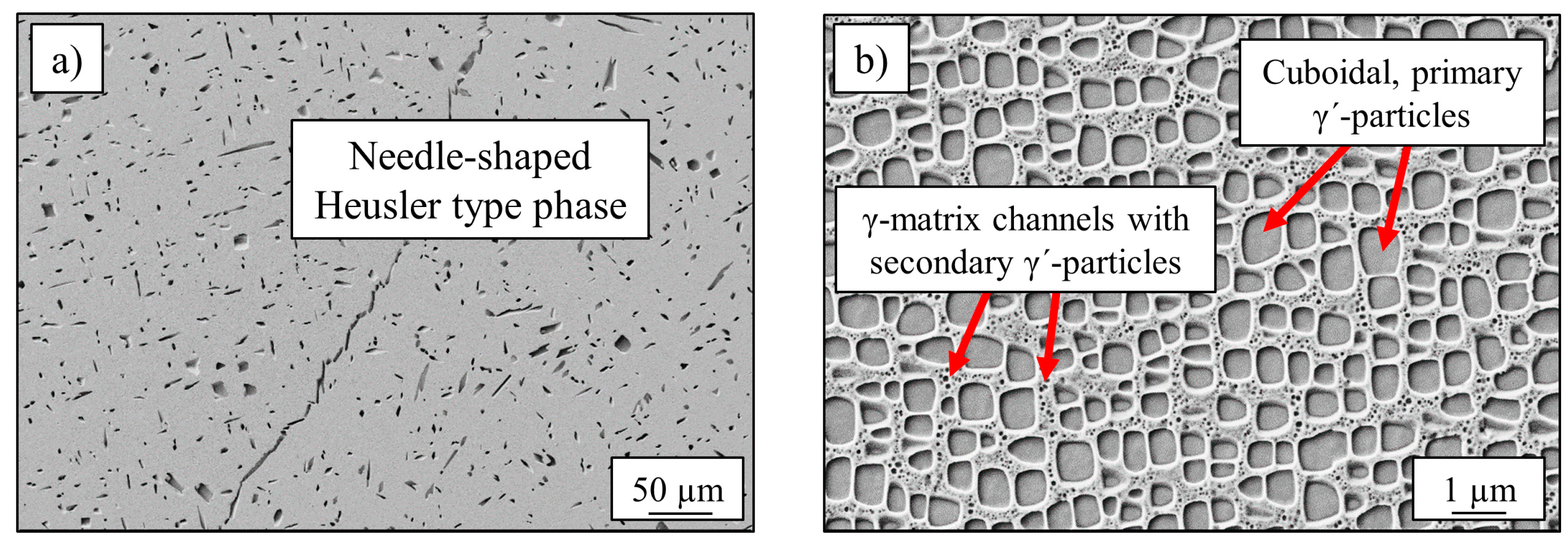 Entropy 21 00169 g001