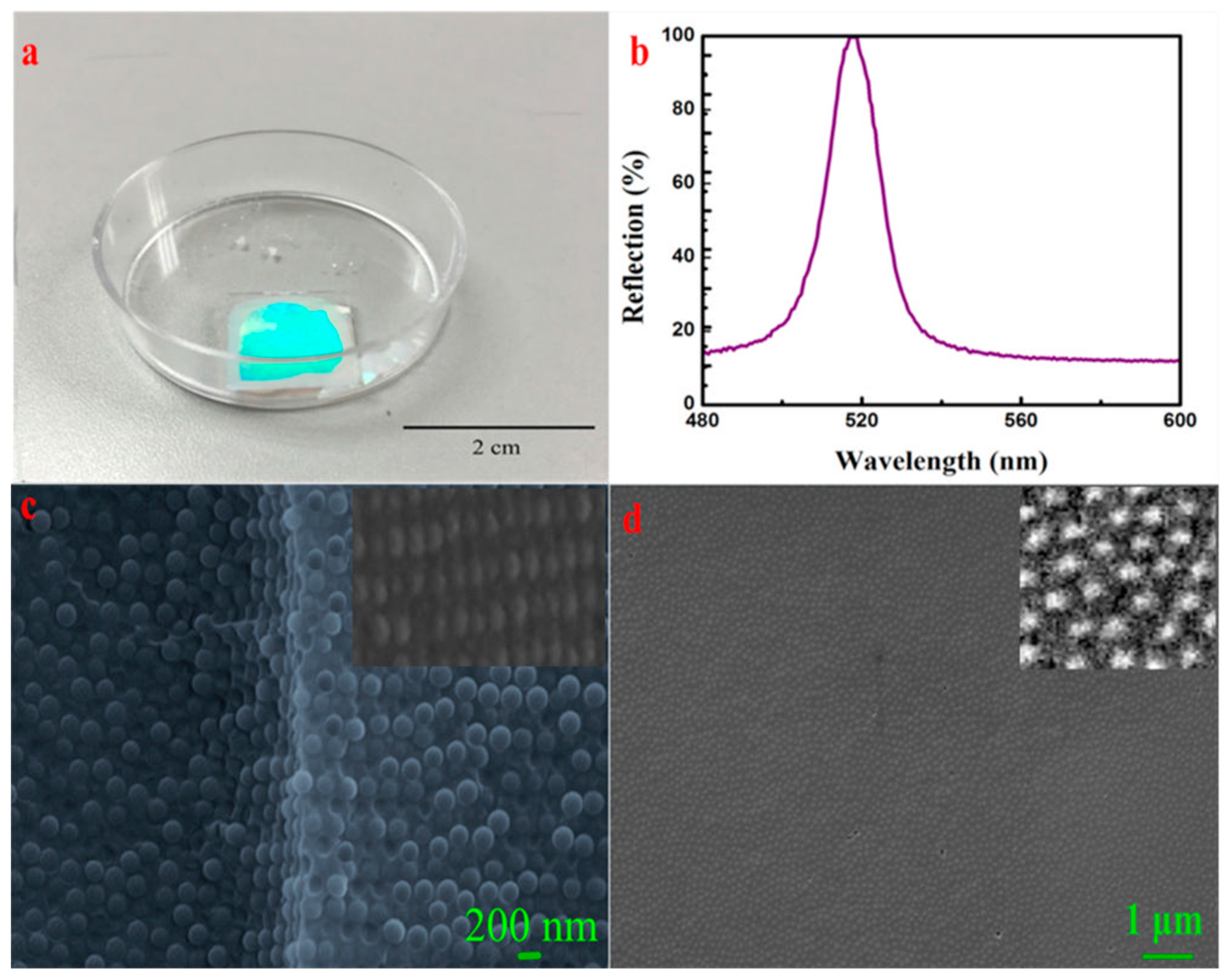 Entropy 21 00180 g003