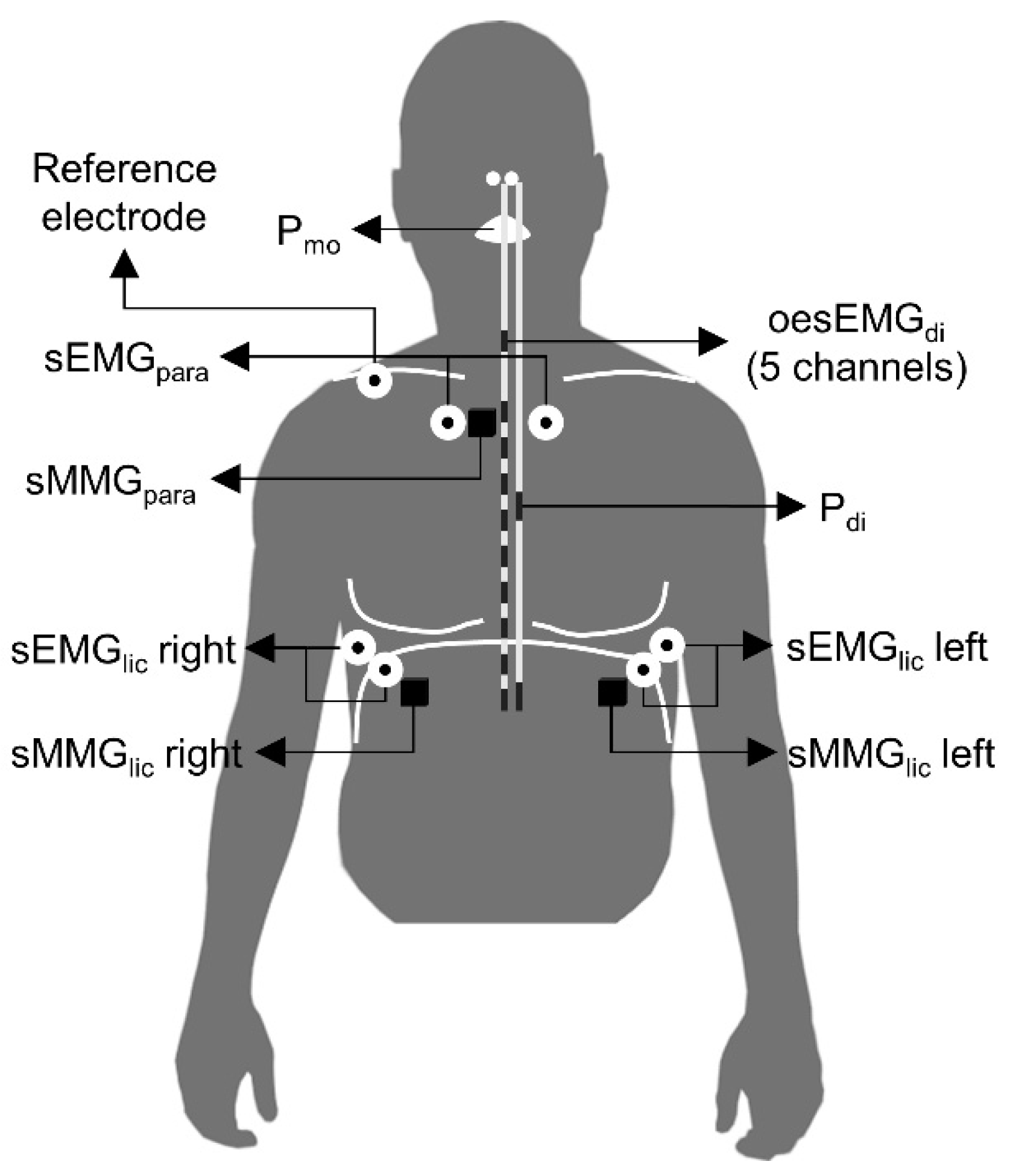 Entropy 21 00183 g001