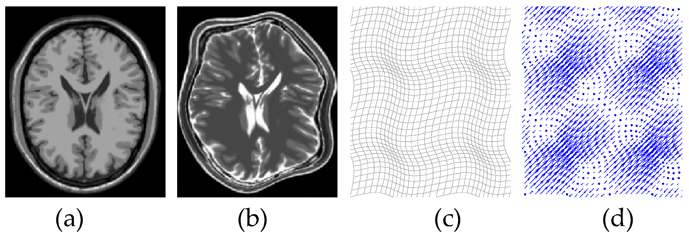 Entropy 21 00189 g002
