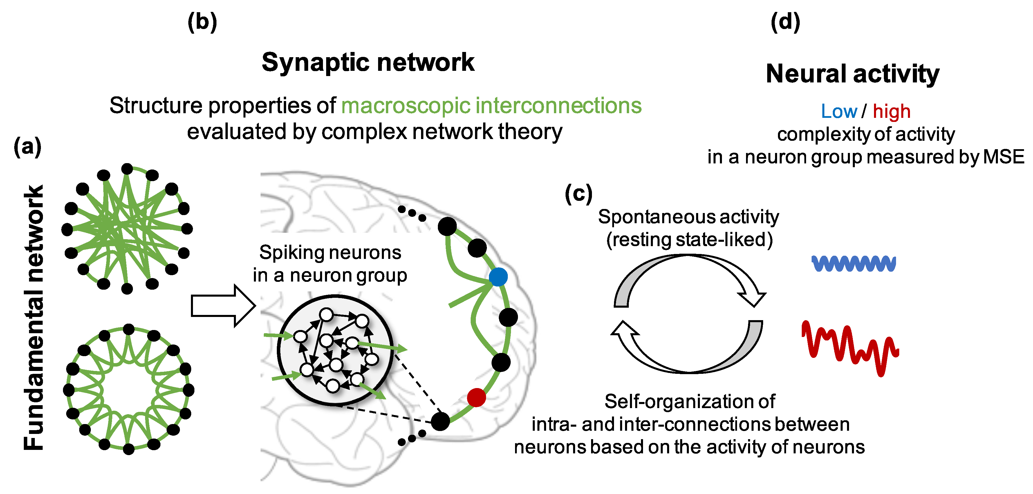 Entropy 21 00214 g001