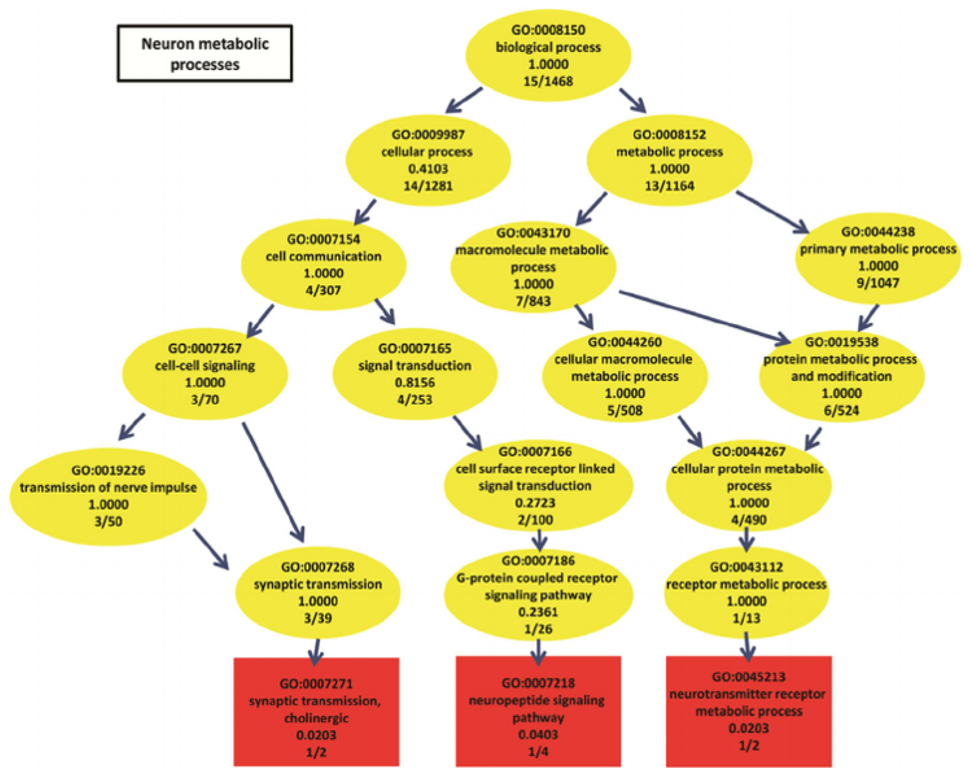 Entropy 21 00221 g003