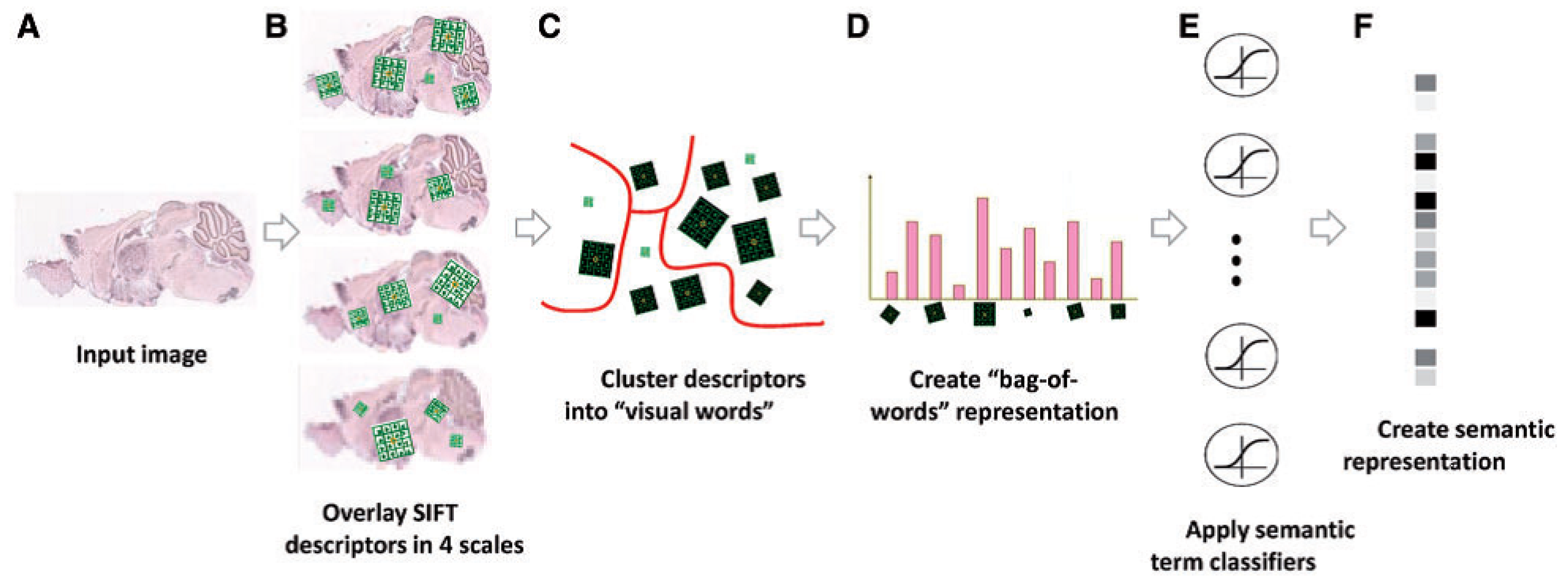 Entropy 21 00221 g004