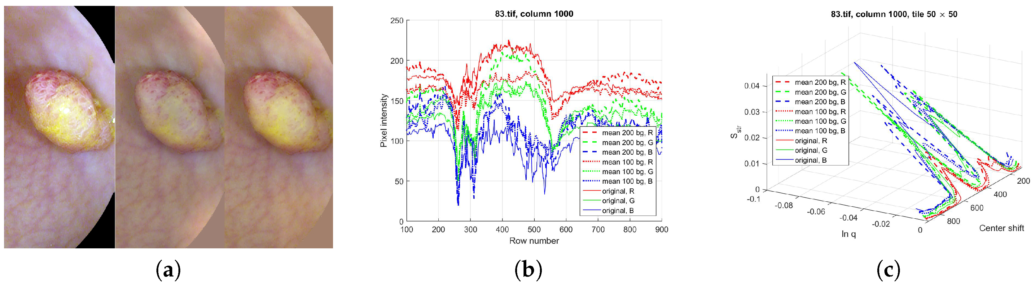 Entropy 21 00256 g012