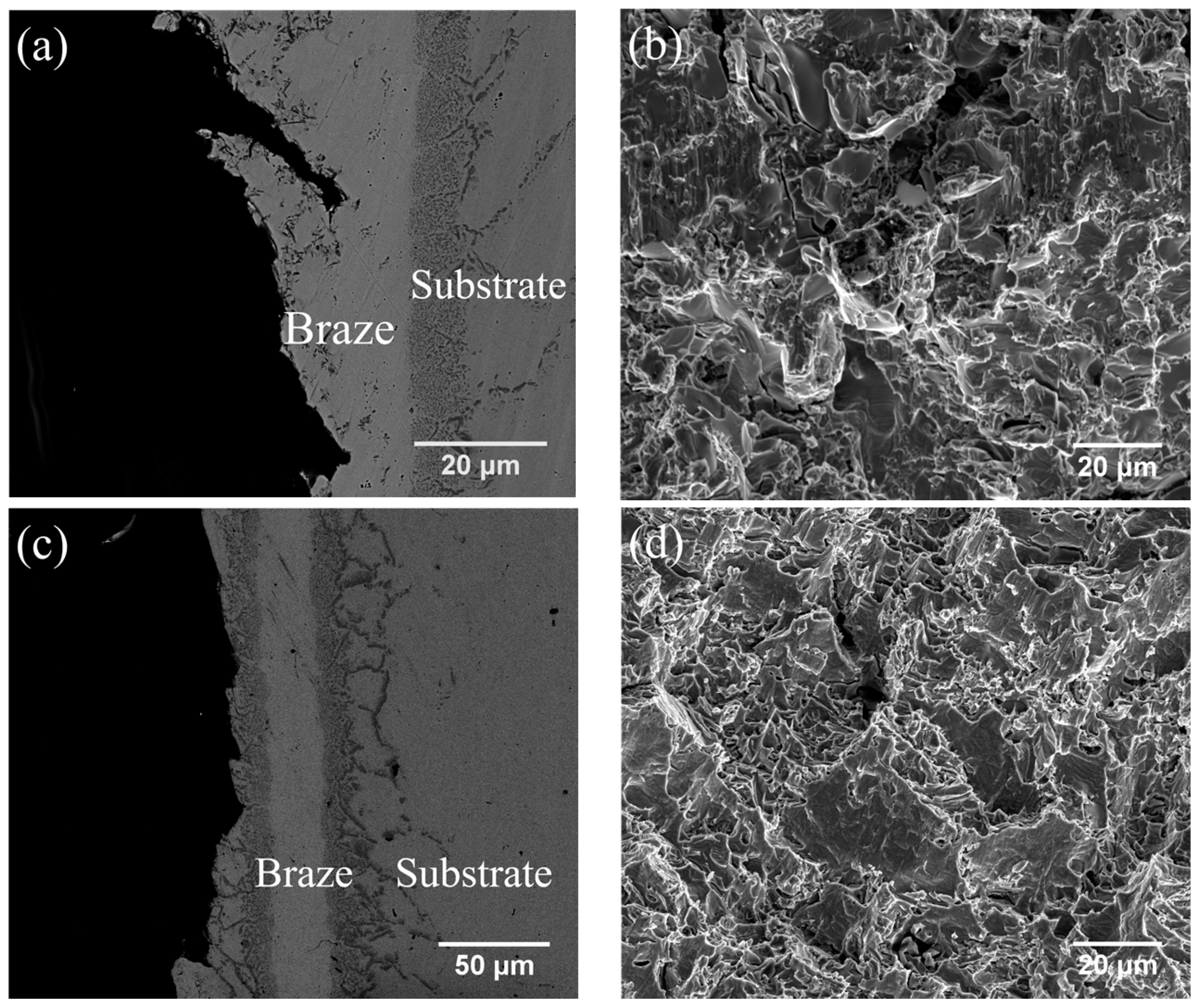 Entropy 21 00283 g005