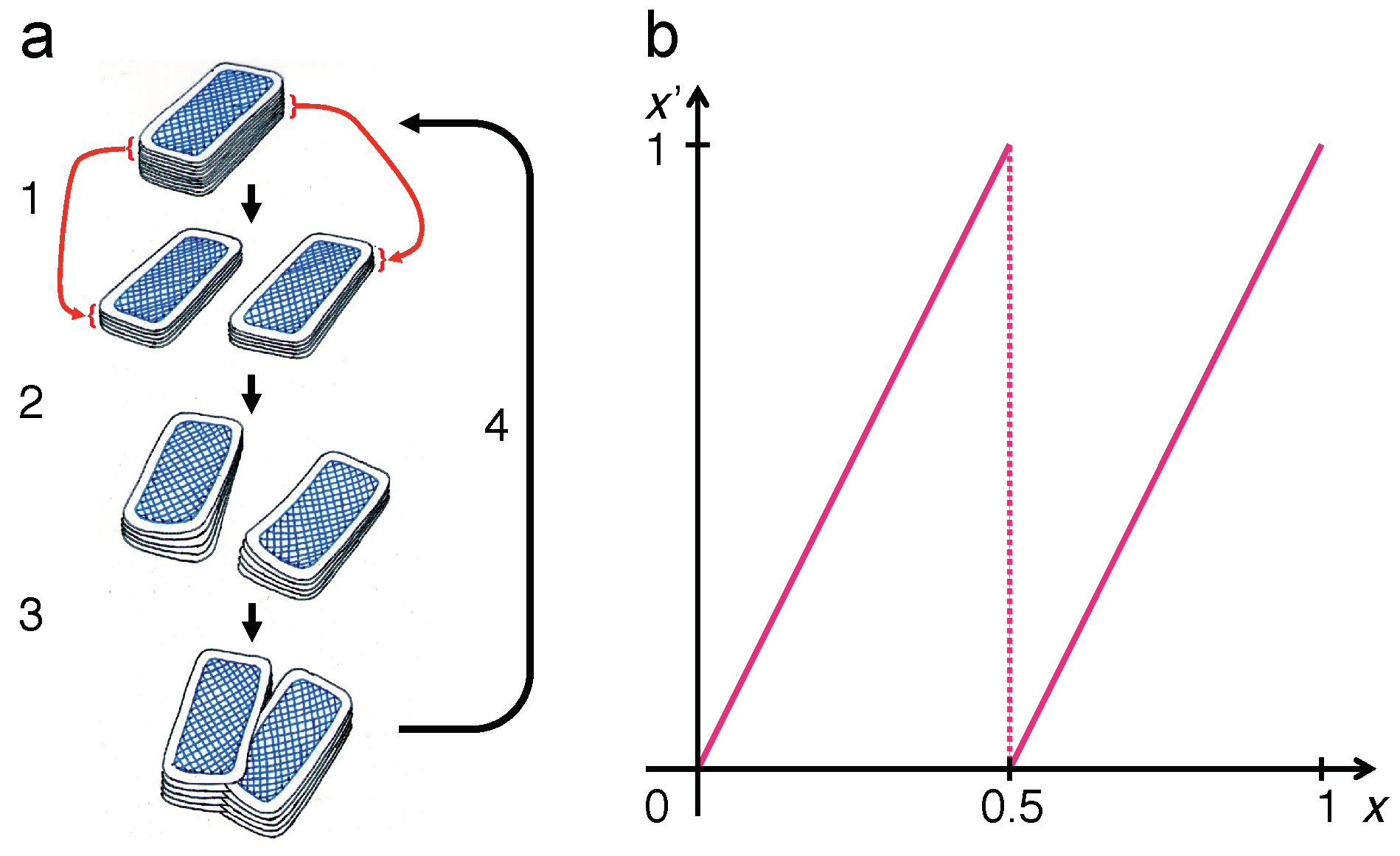 Entropy 21 00286 g001