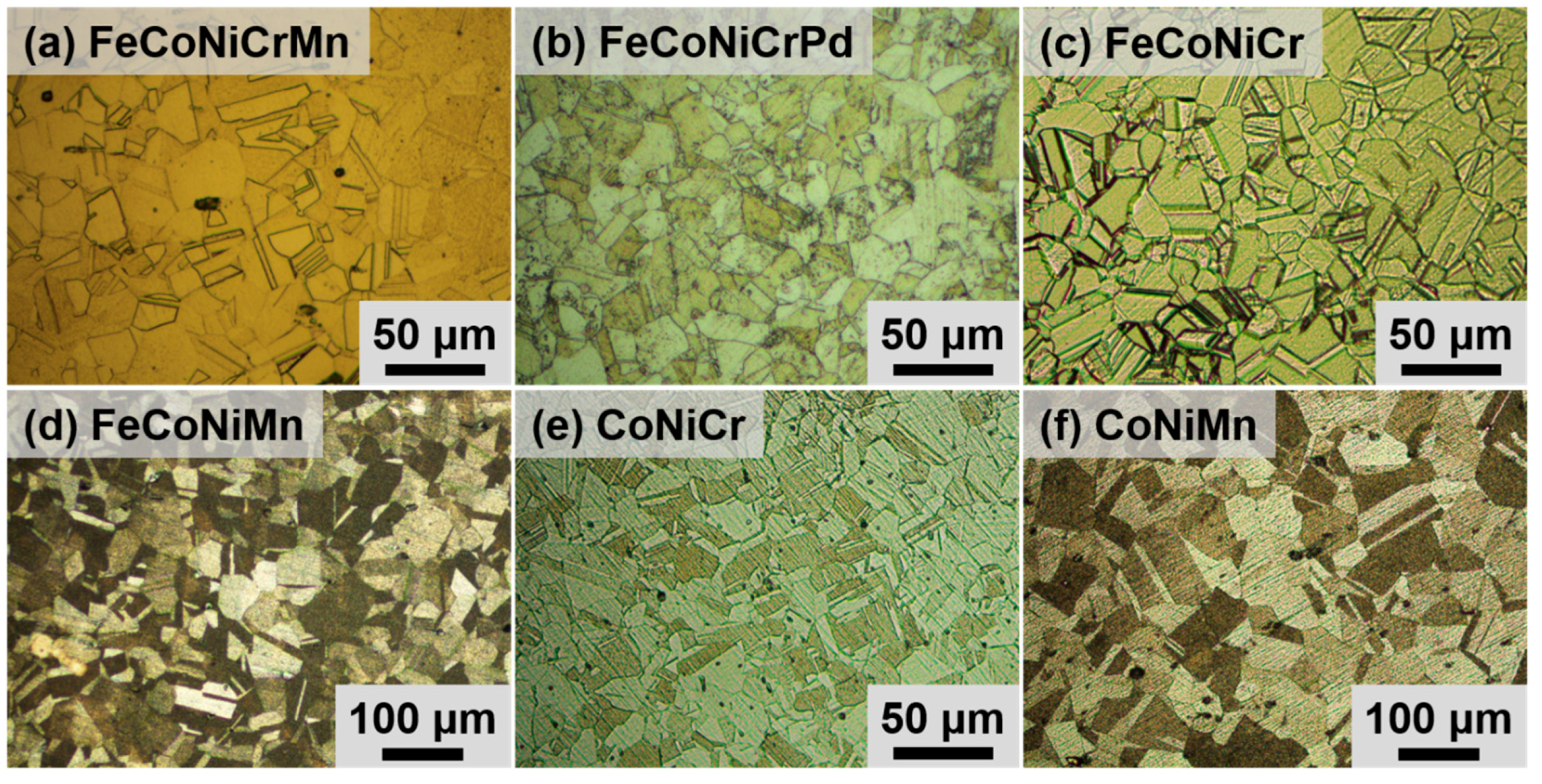 Entropy 21 00297 g001