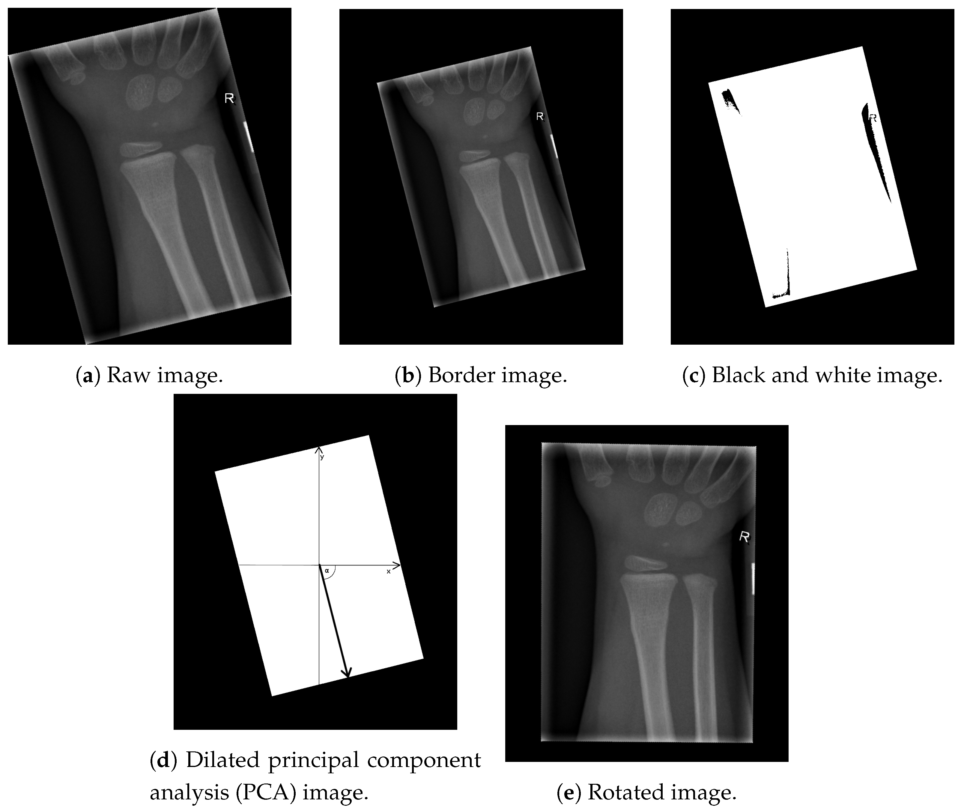 Entropy 21 00338 g001