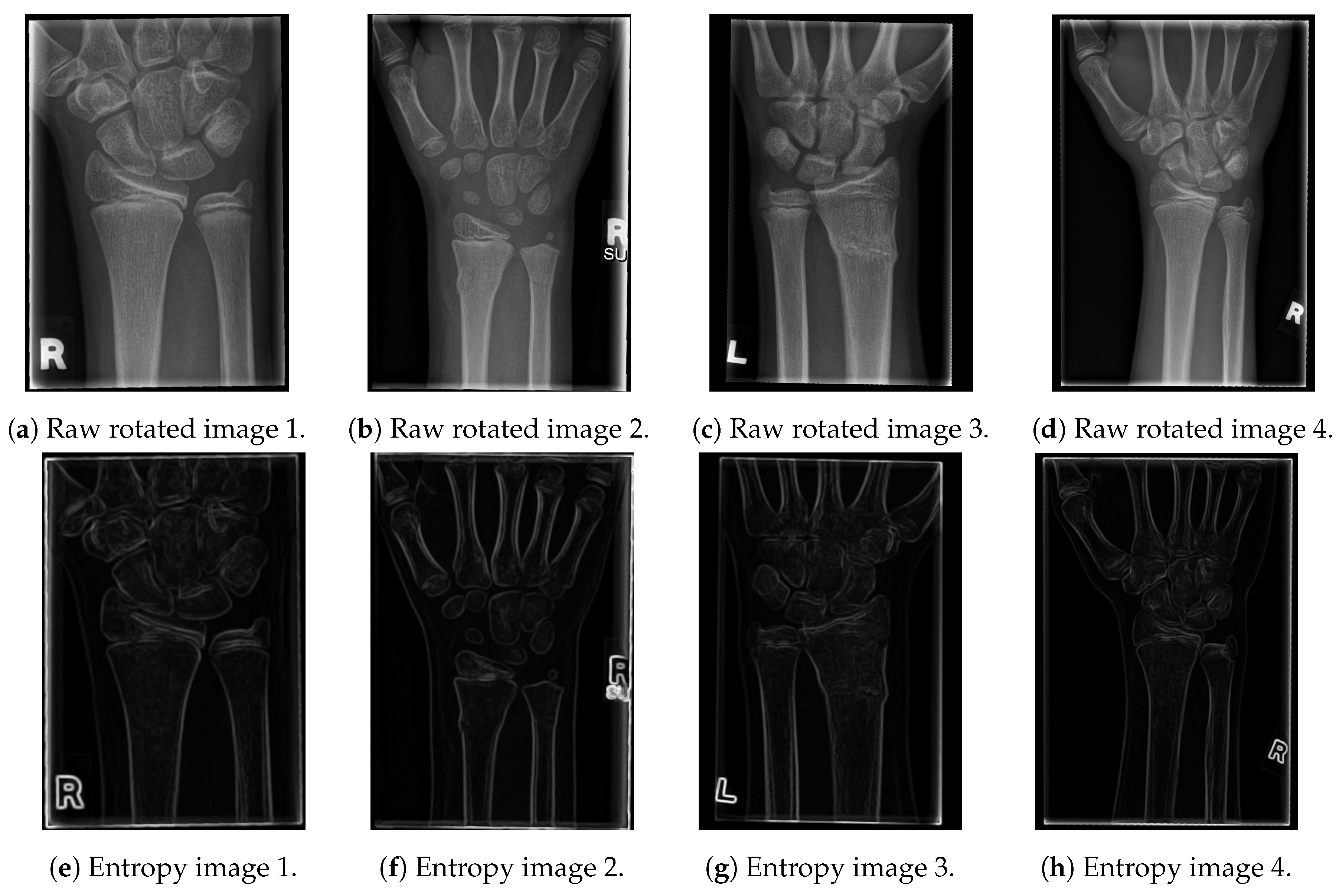 Entropy 21 00338 g002