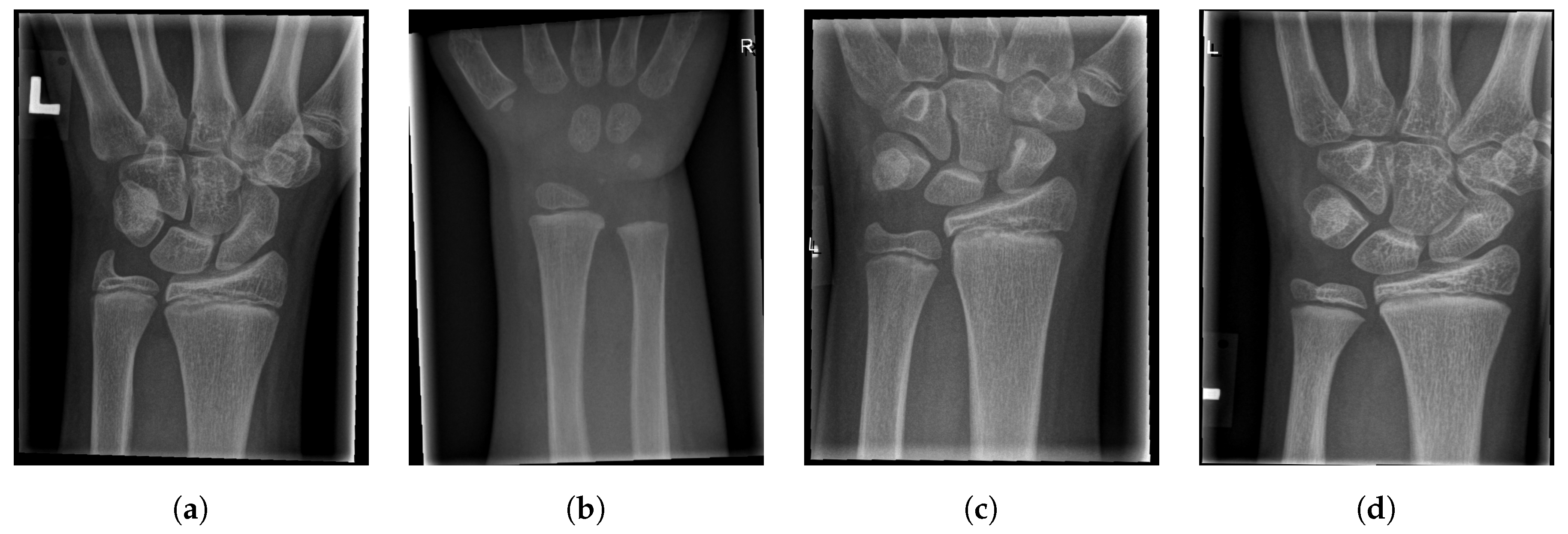 Entropy 21 00338 g018