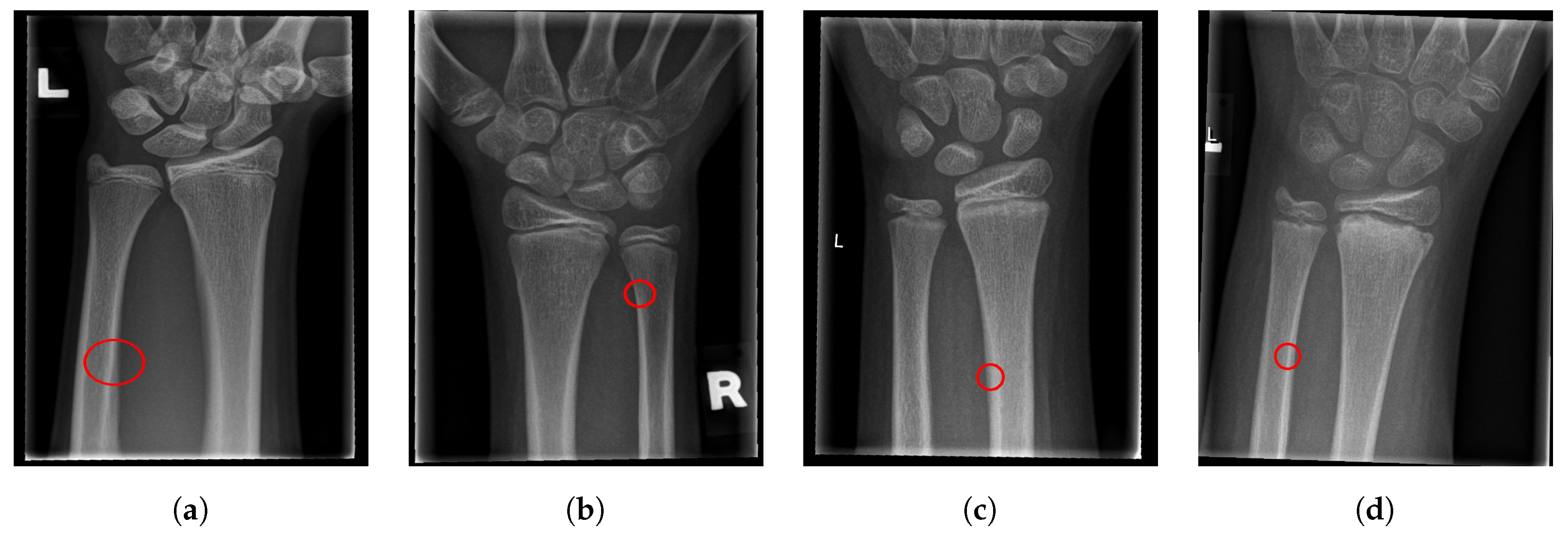 Entropy 21 00338 g019