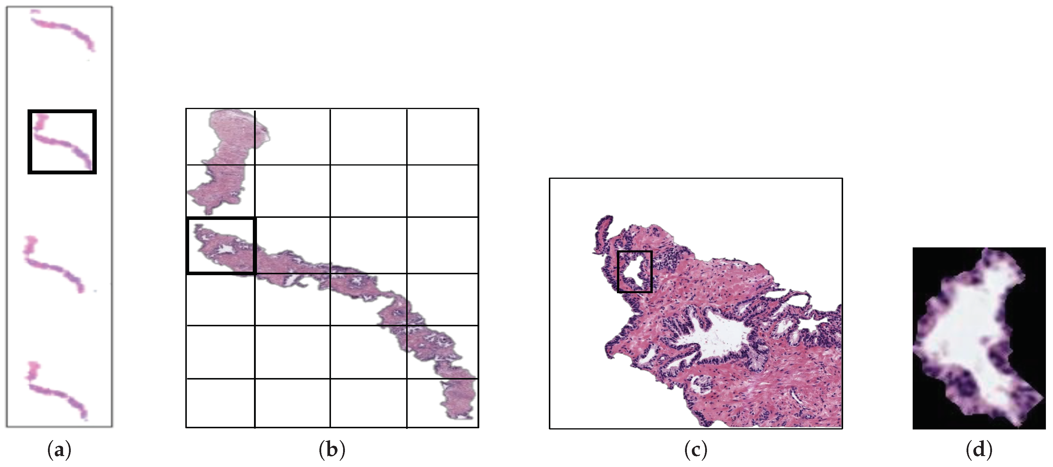 Entropy 21 00356 g002